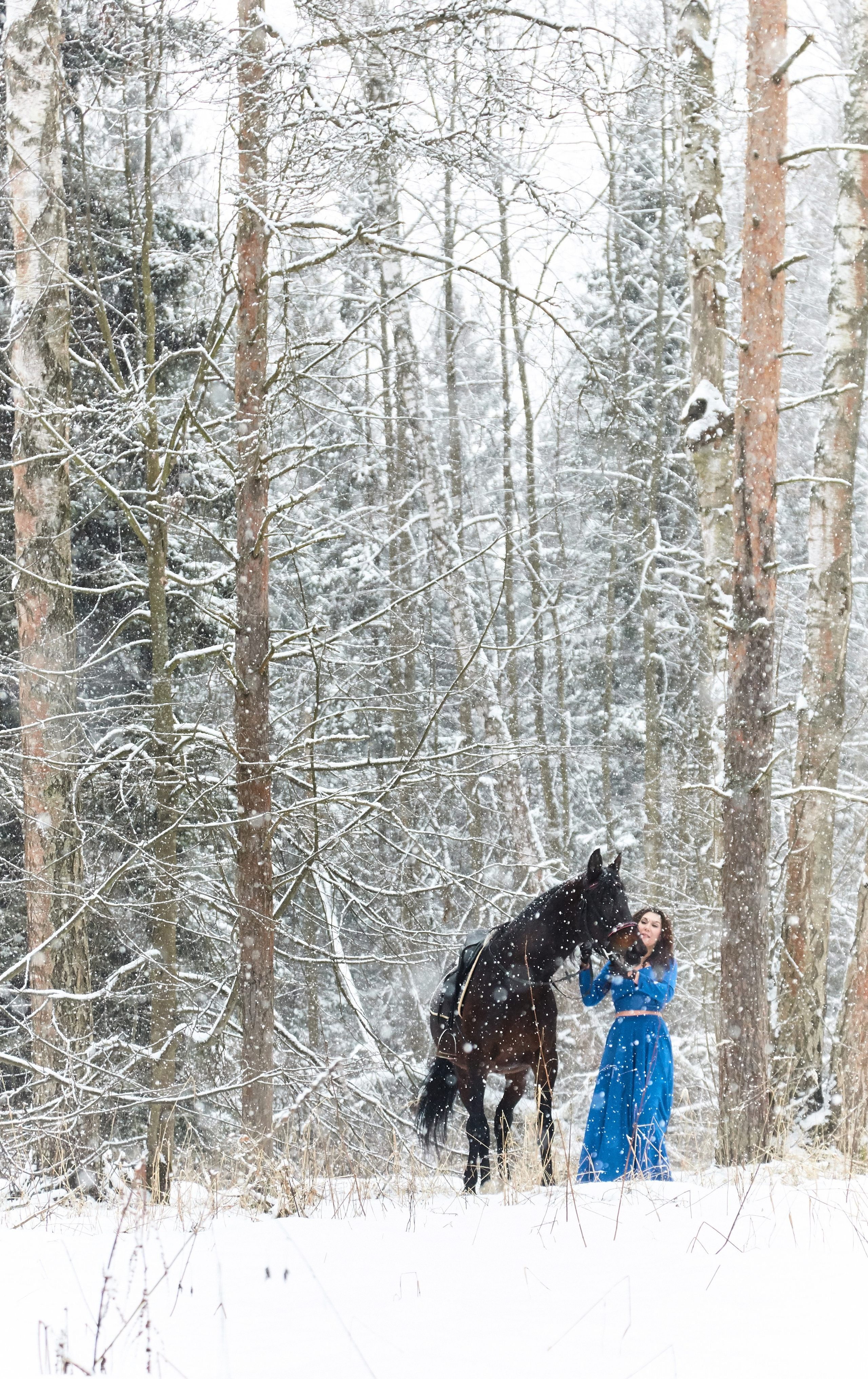 Творческие проекты. Фотохроника для следующих поколений