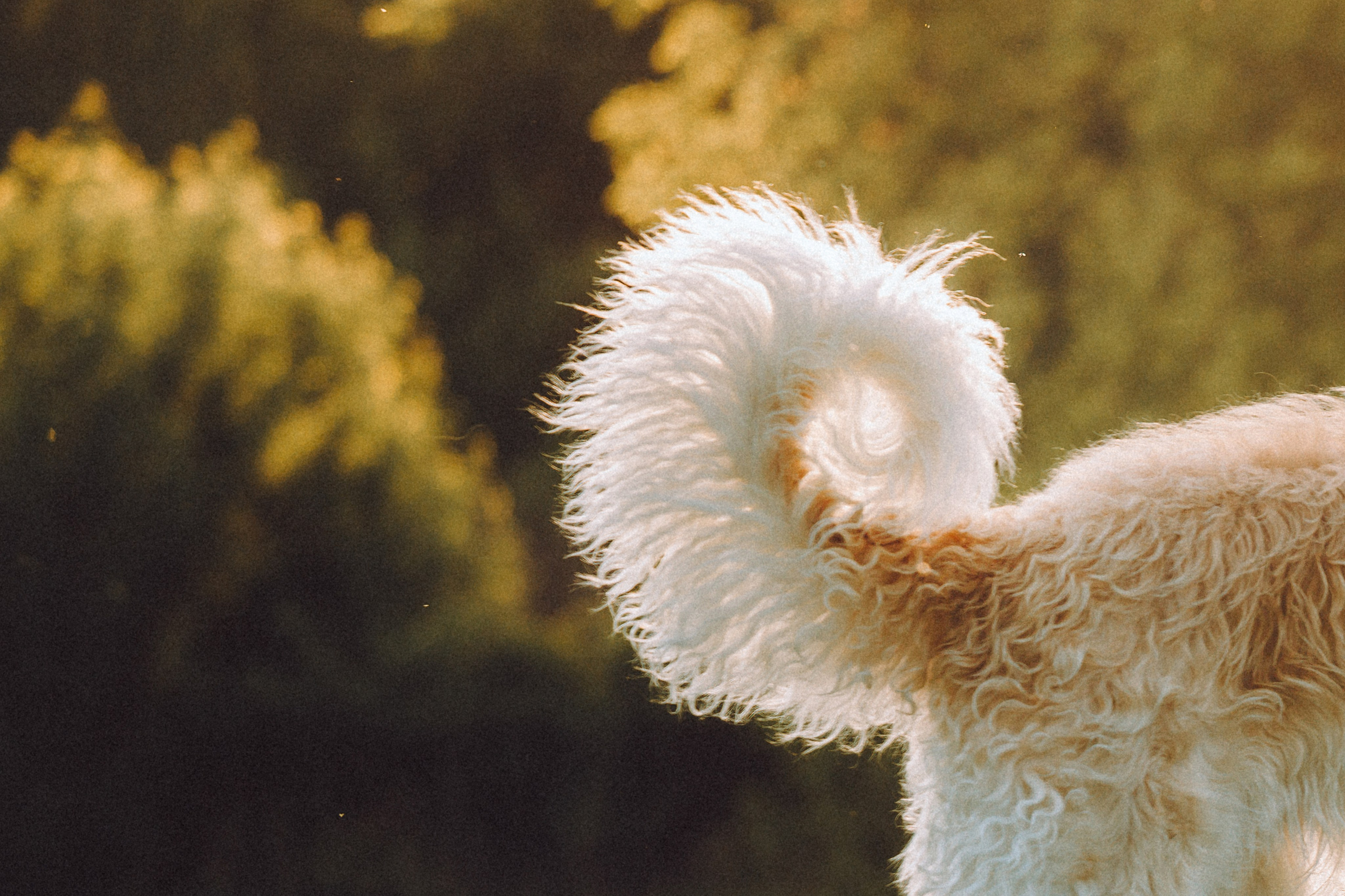 Илай, Зайка и их семья