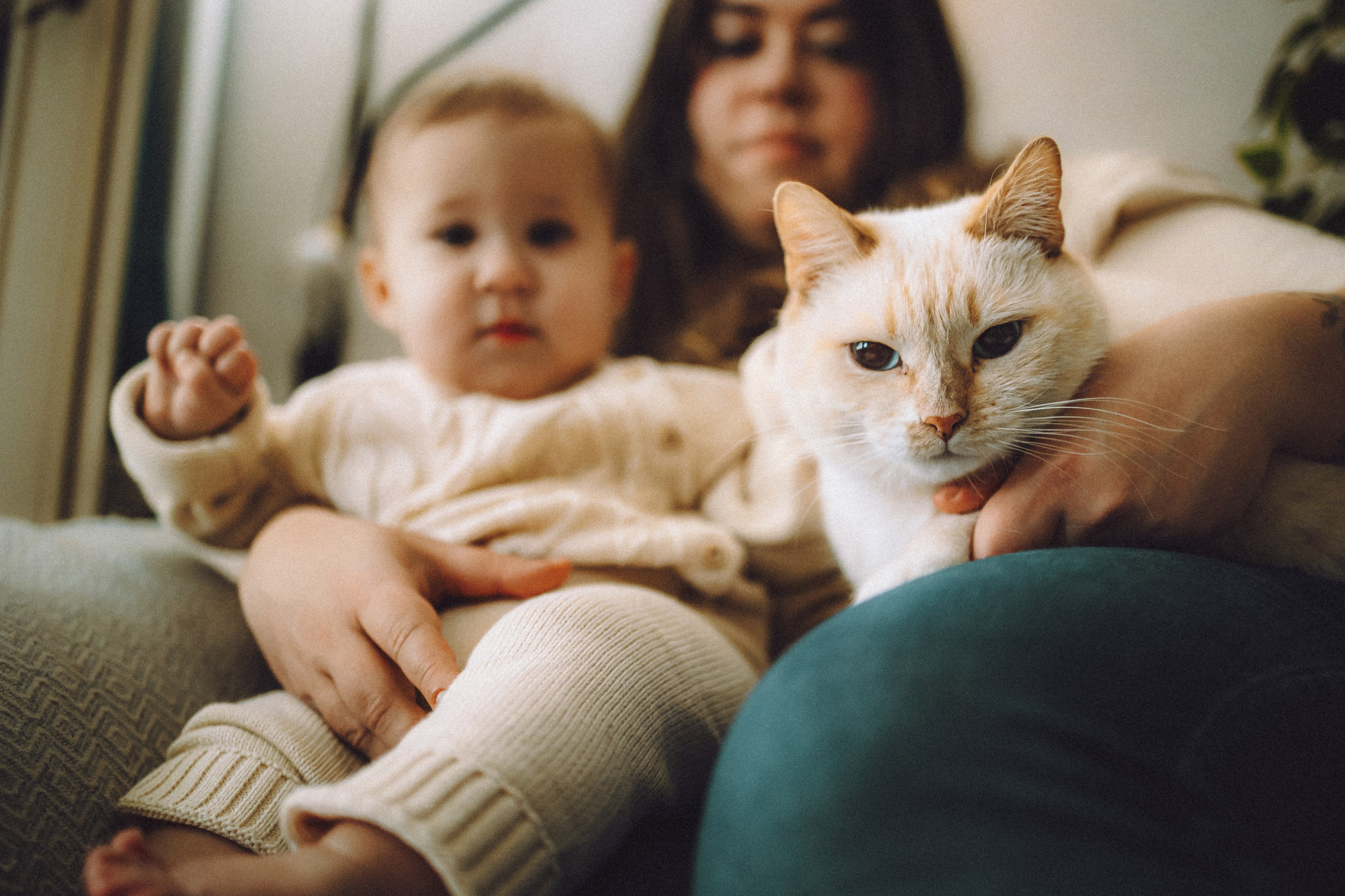 Топик и его семья