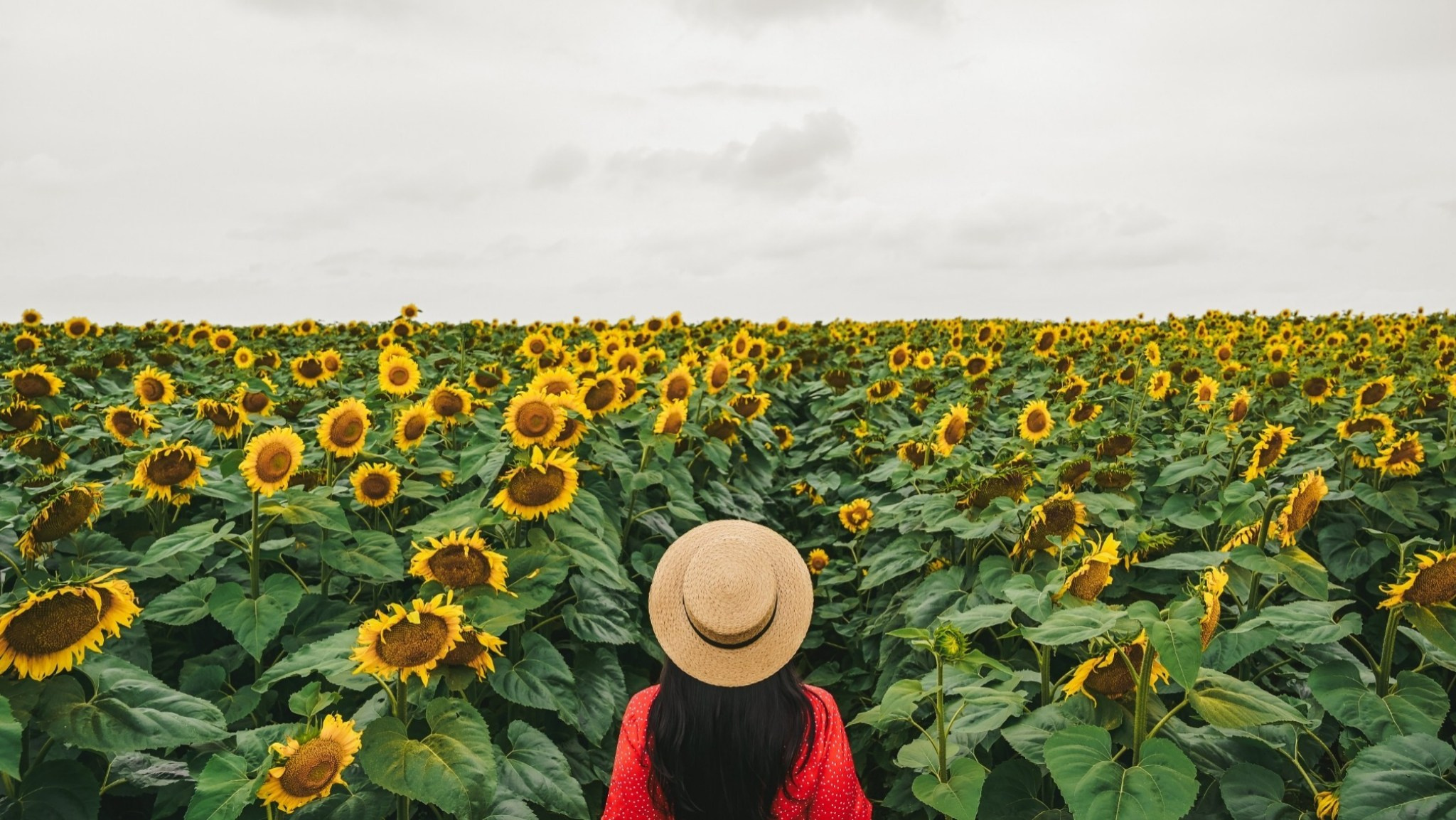 Фотограф в Ярославле Владимир Летуновский