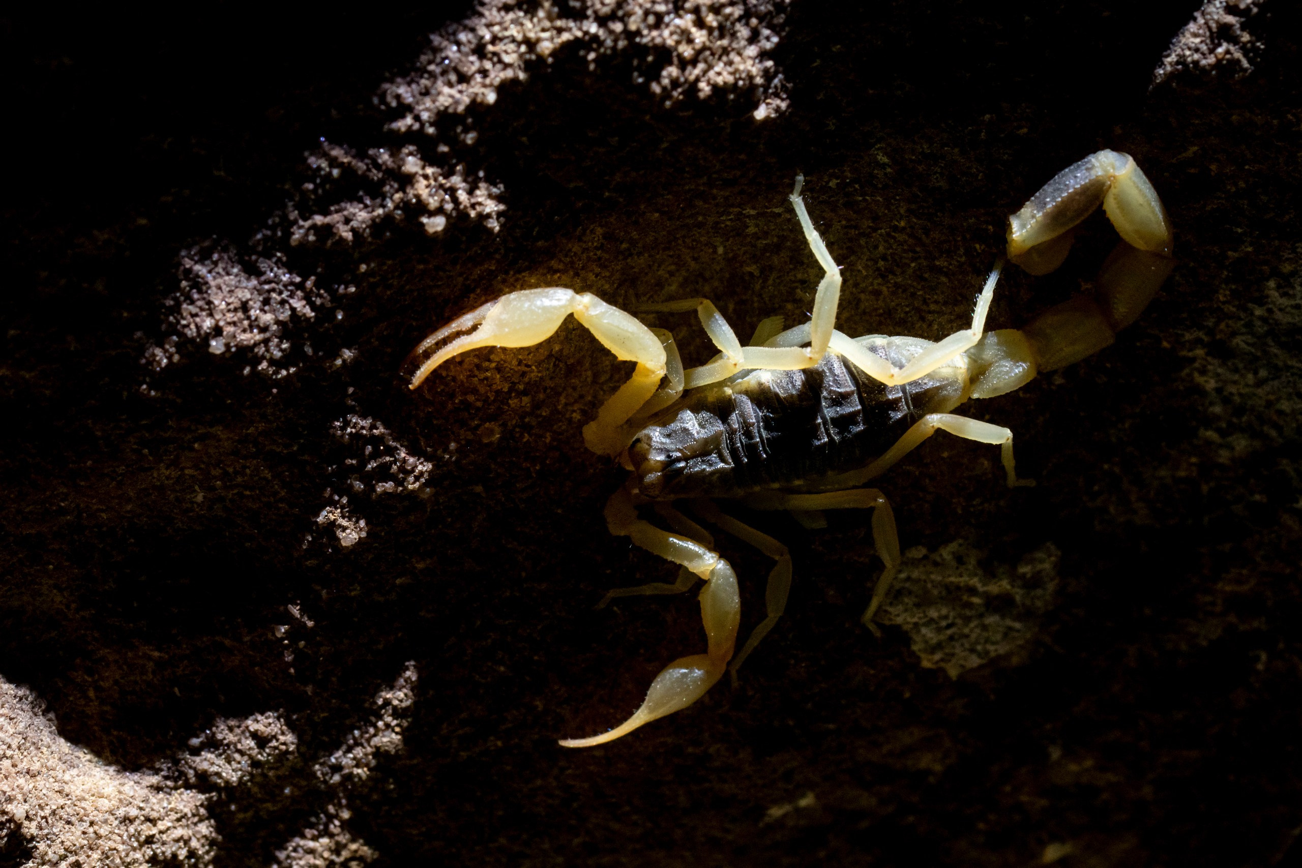 Природа Дагестана, сентябрь 2024. Foto-Zuev фотография как искусство