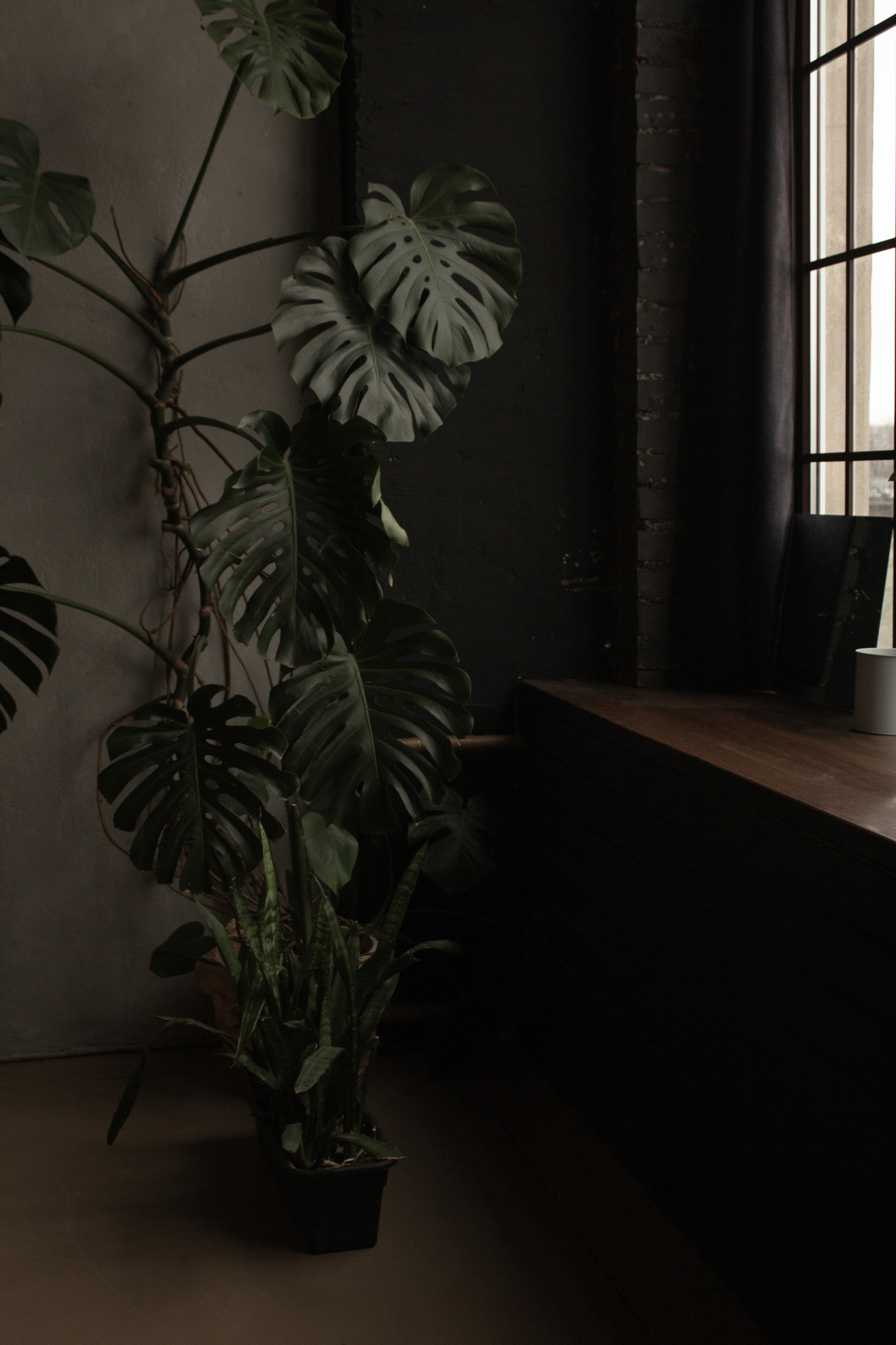 Денис | естественный свет. Портретный фотограф СПб — Ира Волкова