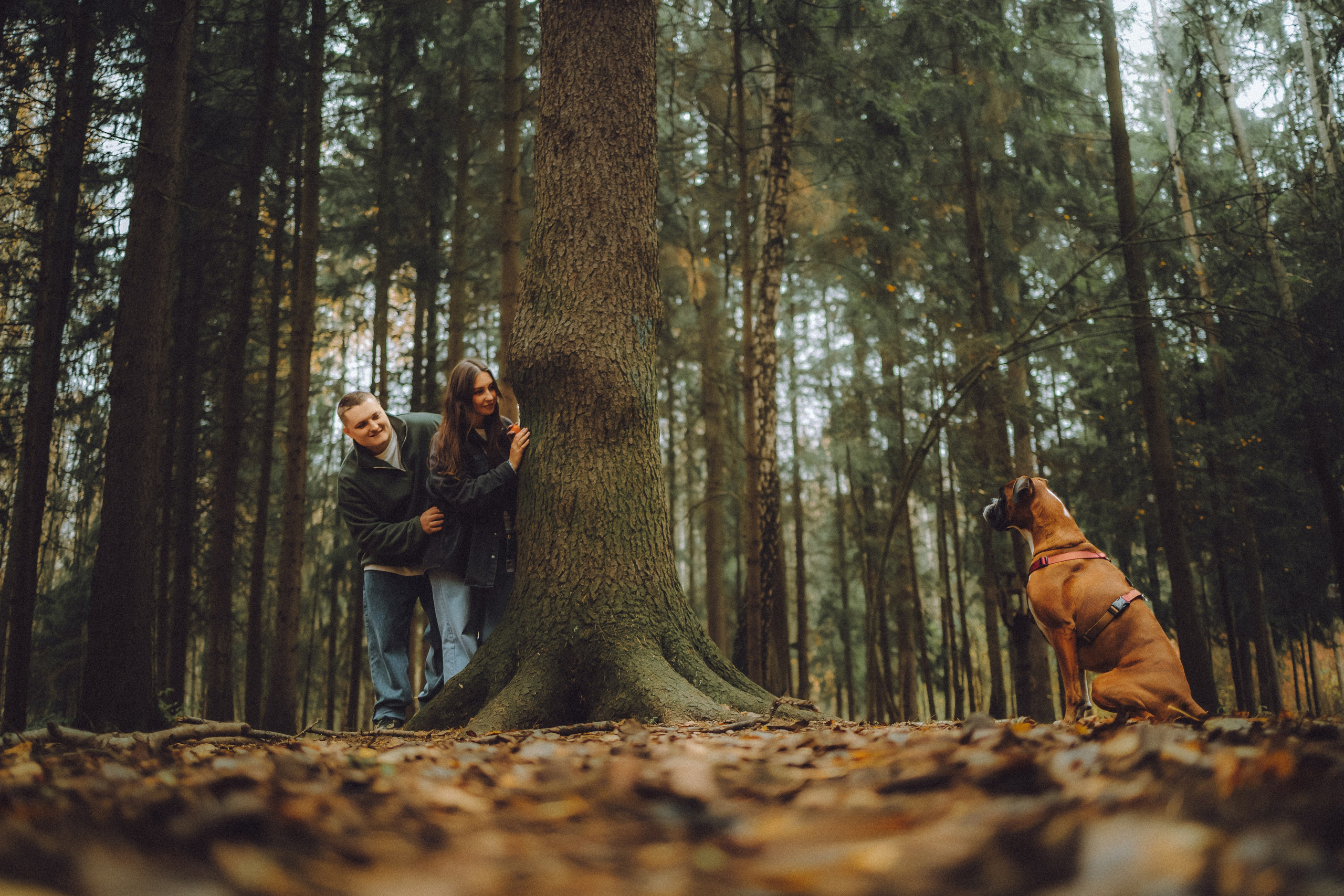 Элли и ее семья