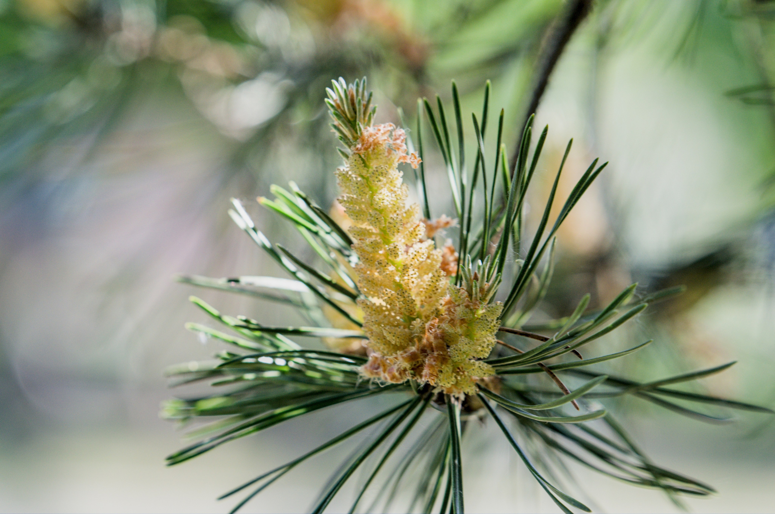 Природа. Фото детских спортивных мероприятий и всякое интересное через объектив