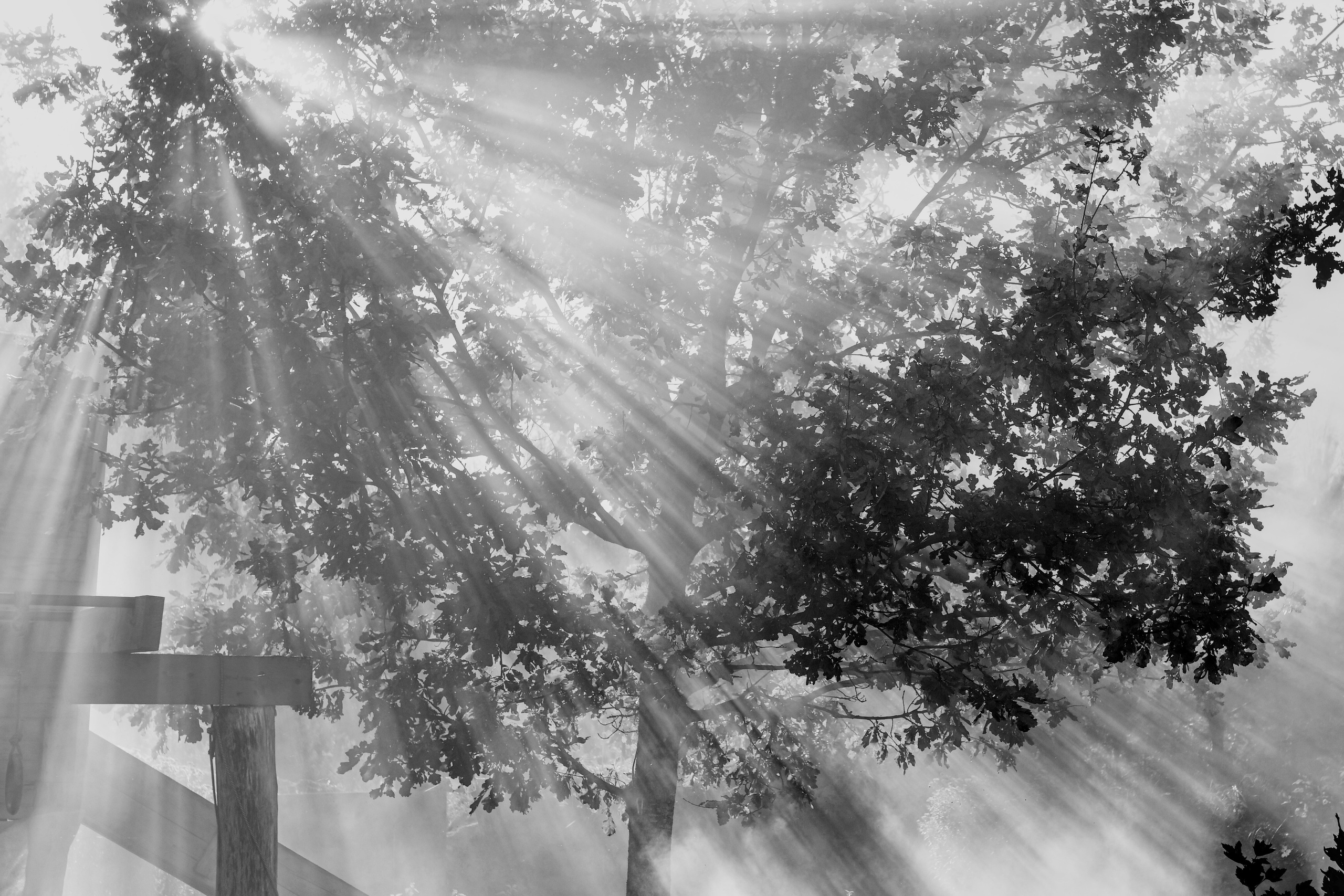 Природа. Фото детских спортивных мероприятий и всякое интересное через объектив