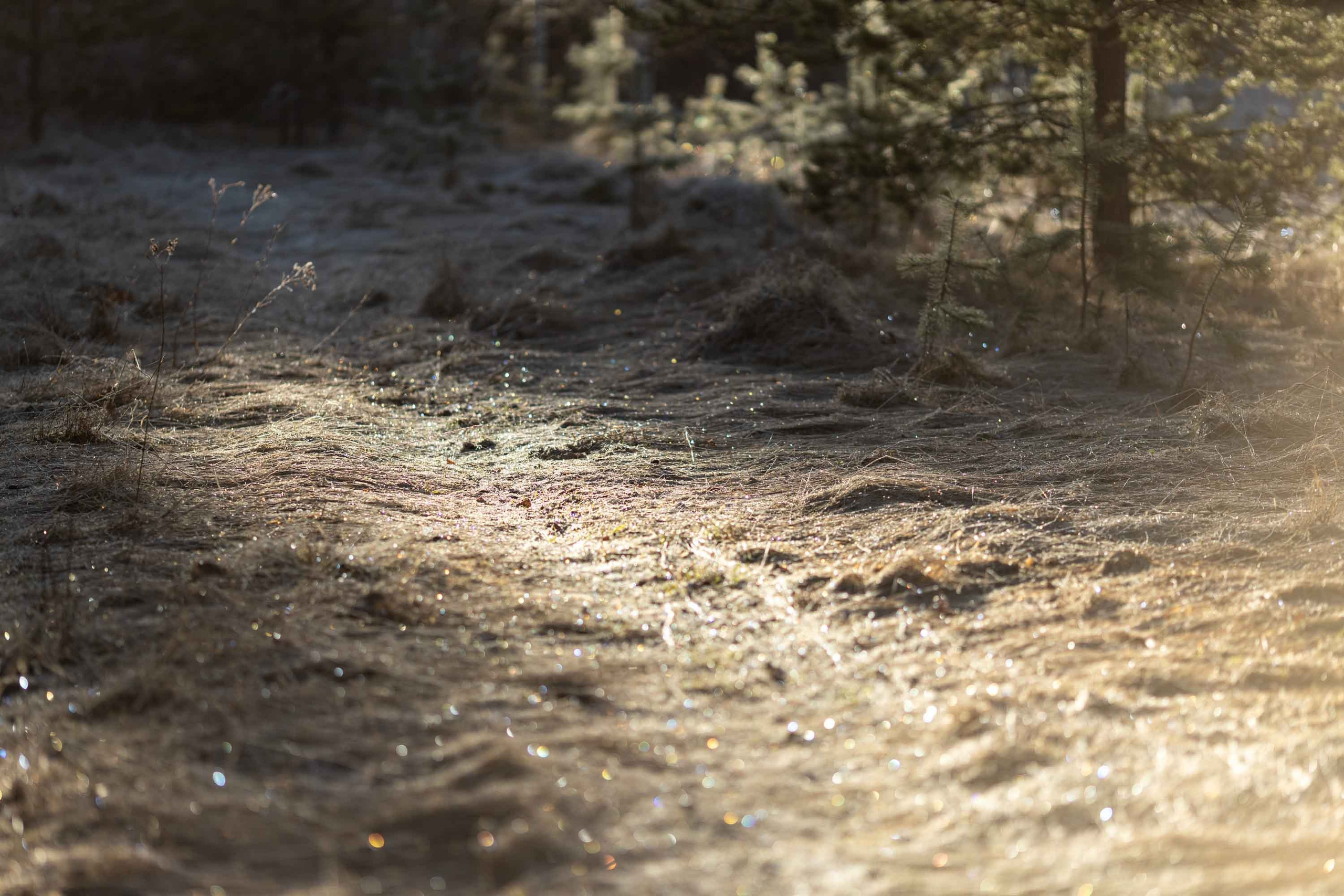 Природные пейзажи. Наталия Клевинскас портретный фотограф в Костроме
