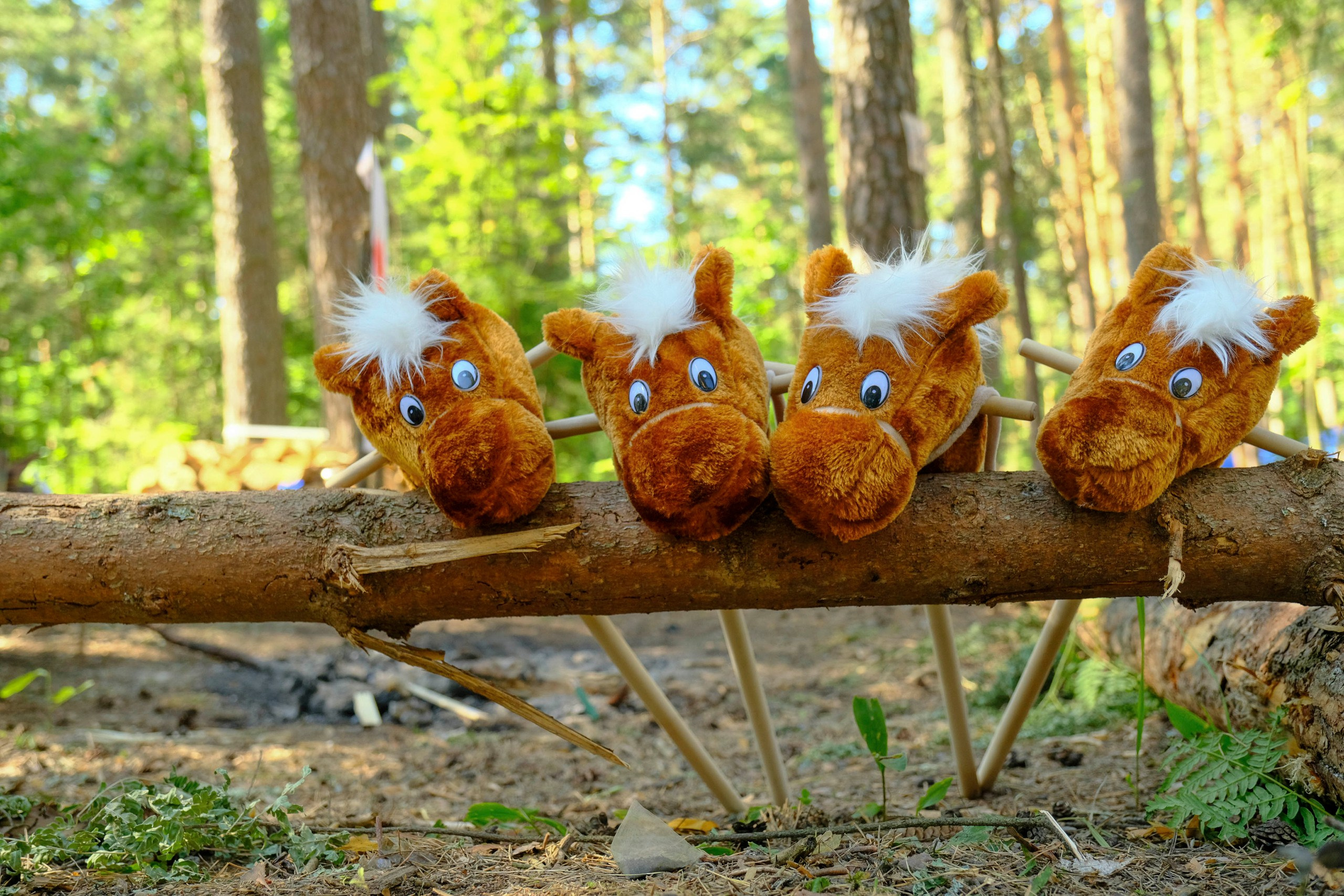 Корпоративный турпоход 500 чел. Территория M.I.C.E. Территория EVENT. Организация мероприятий