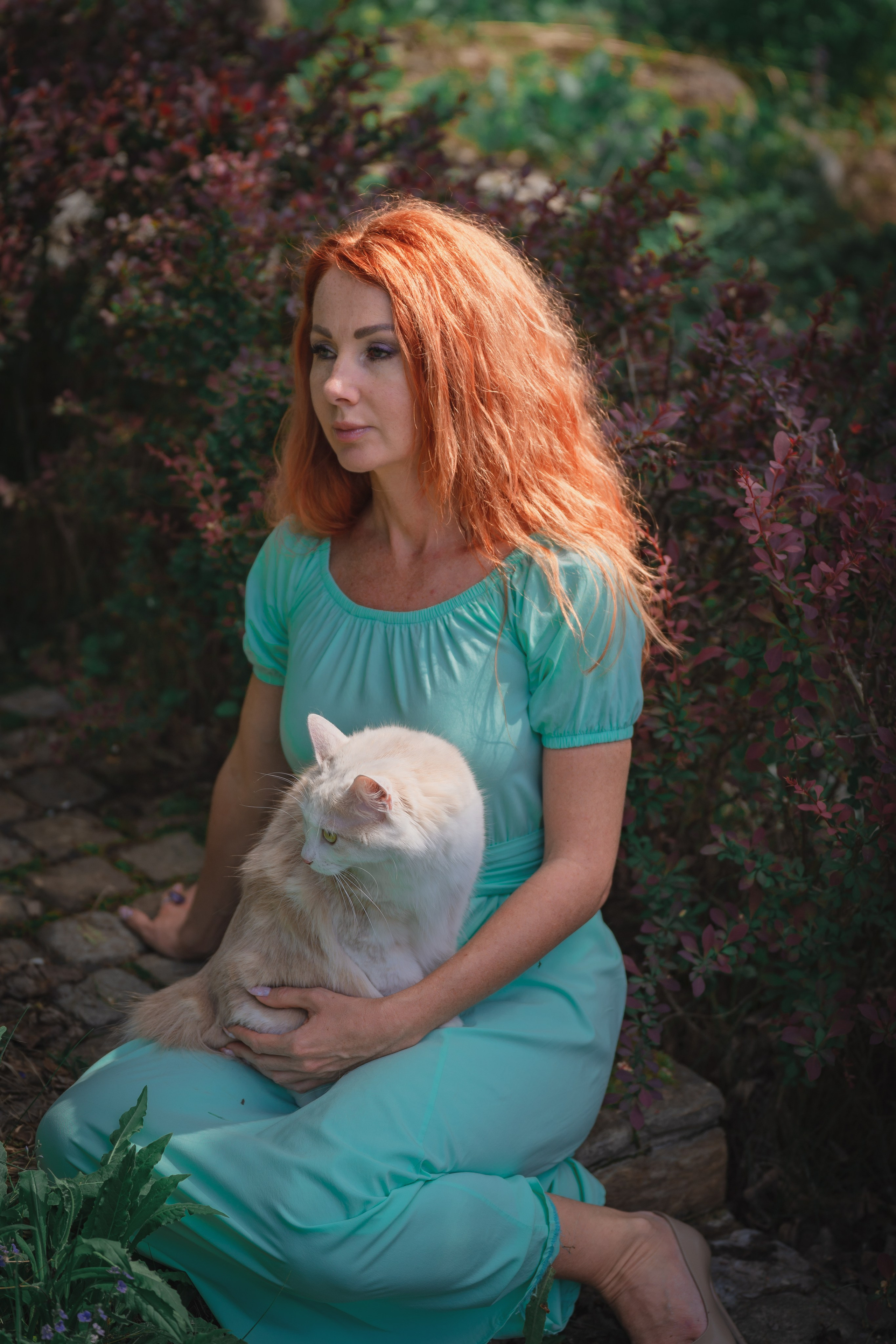 Питомник Курильских бобтейлов. Фотограф в Москве Ленарская Дарья