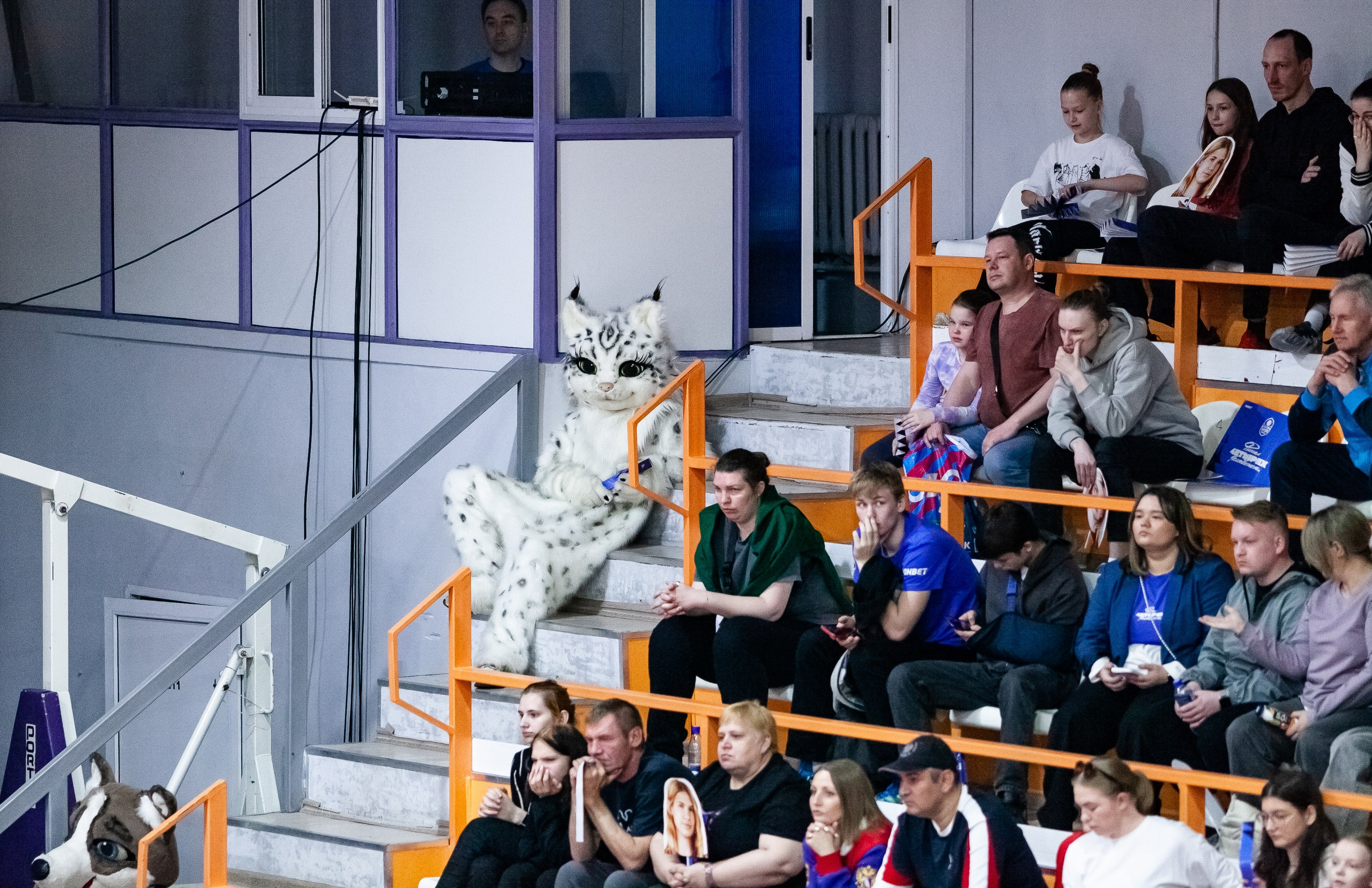 Славянка — Юность. Фотография