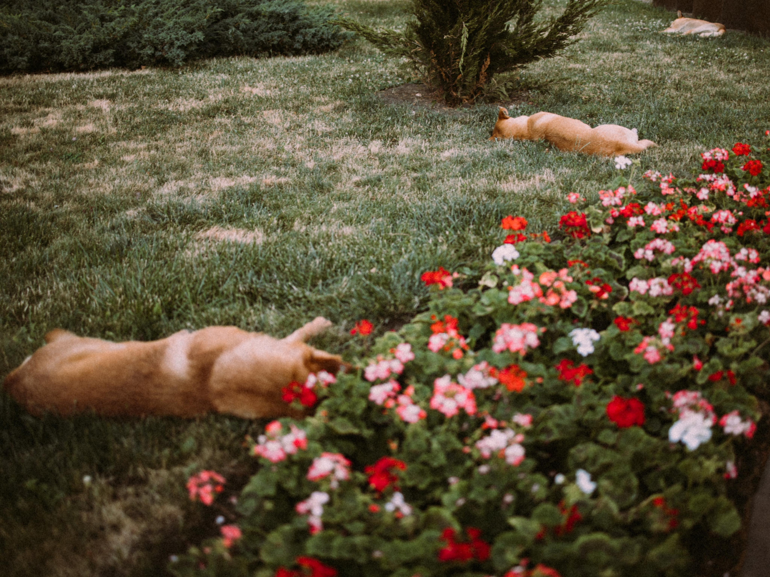 Анастасия — женский портрет. Семейный фотограф в Краснодаре Храмова Анна