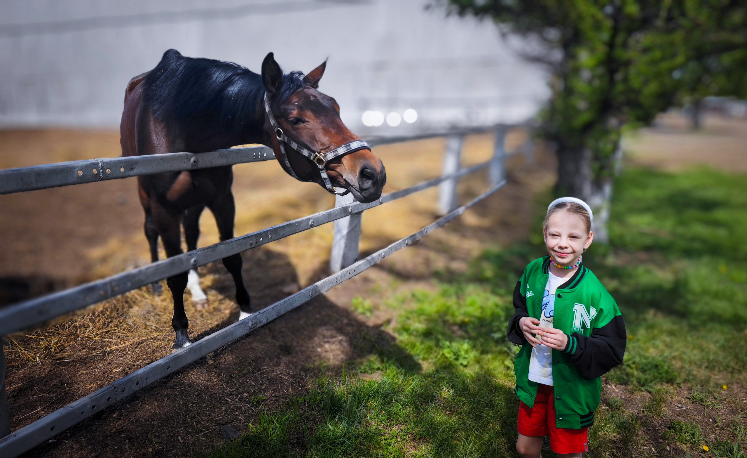 Красноярский ипподром. Открытие сезона 2025. Игорь Урывский. Фотограф Красноярск