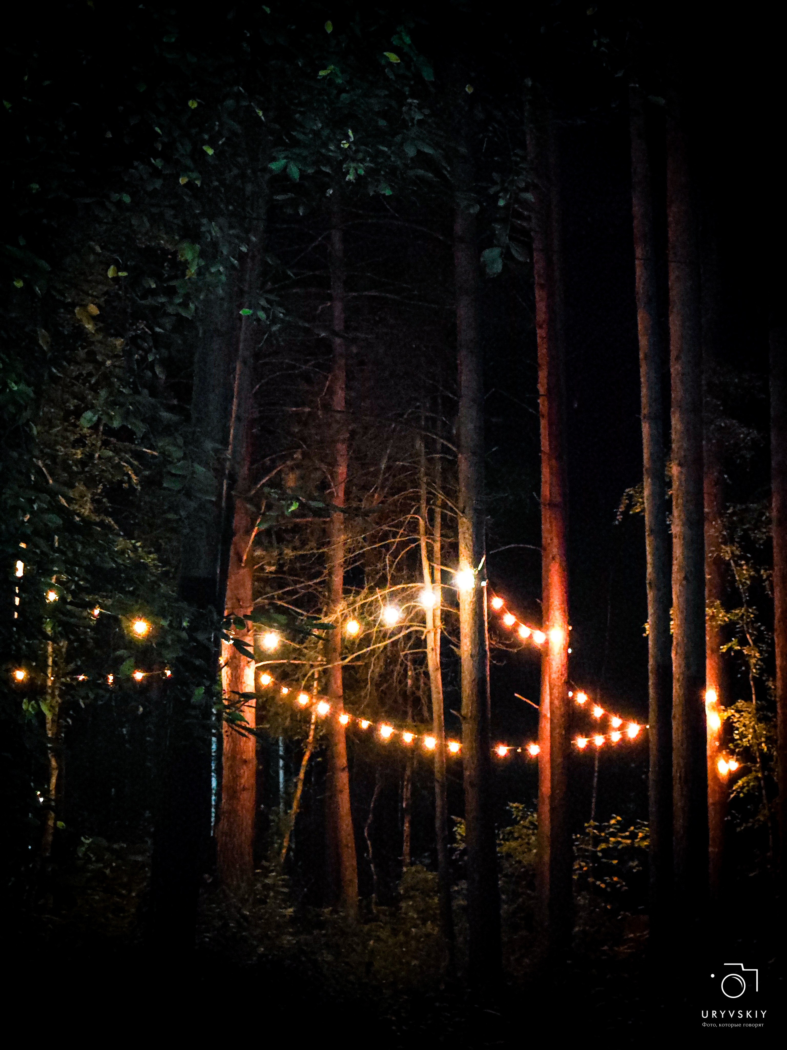 Командор, Хороший. День торговли 2025. Игорь Урывский. Фотограф Красноярск