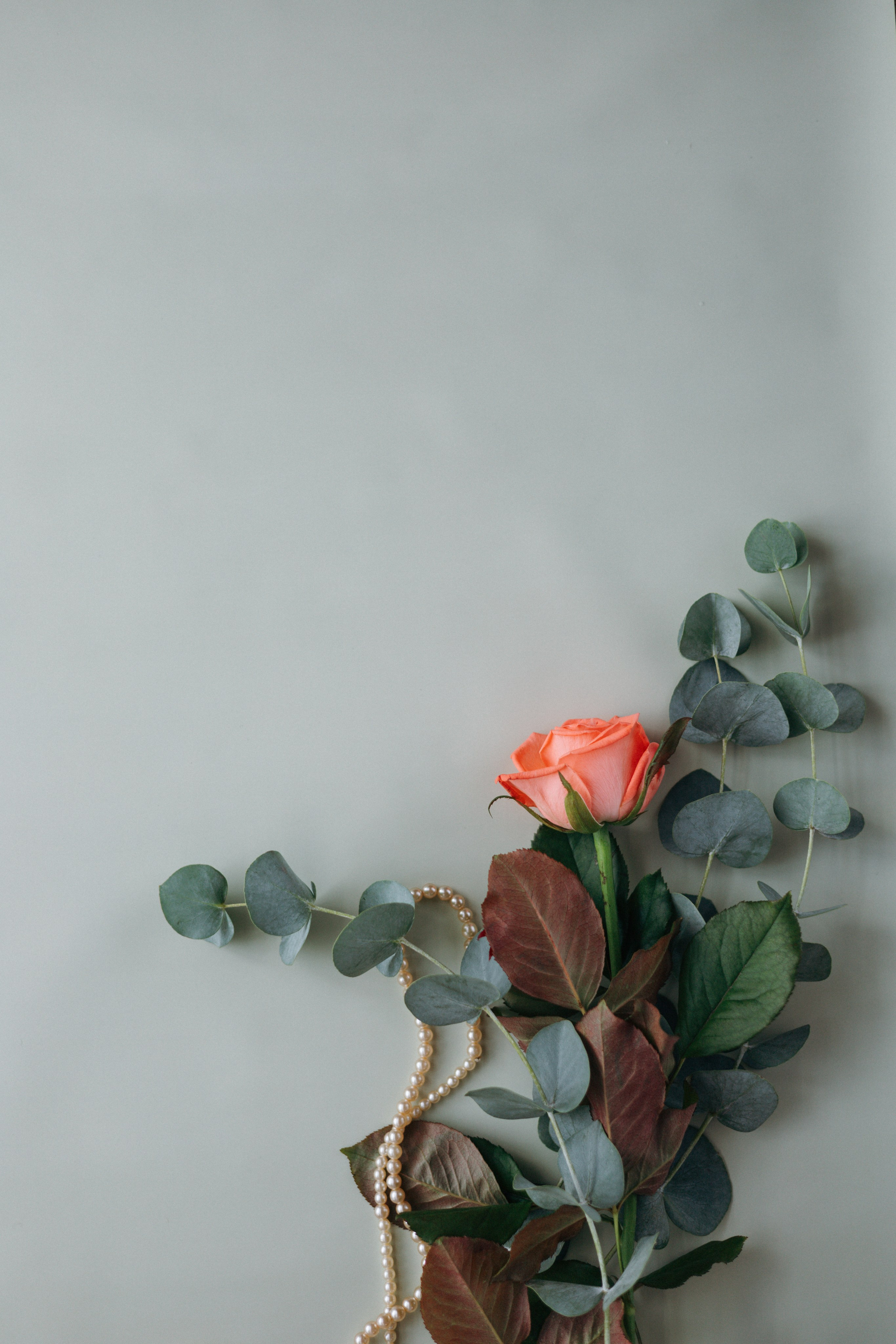 Кейс магазин цветов. Ваш фотограф