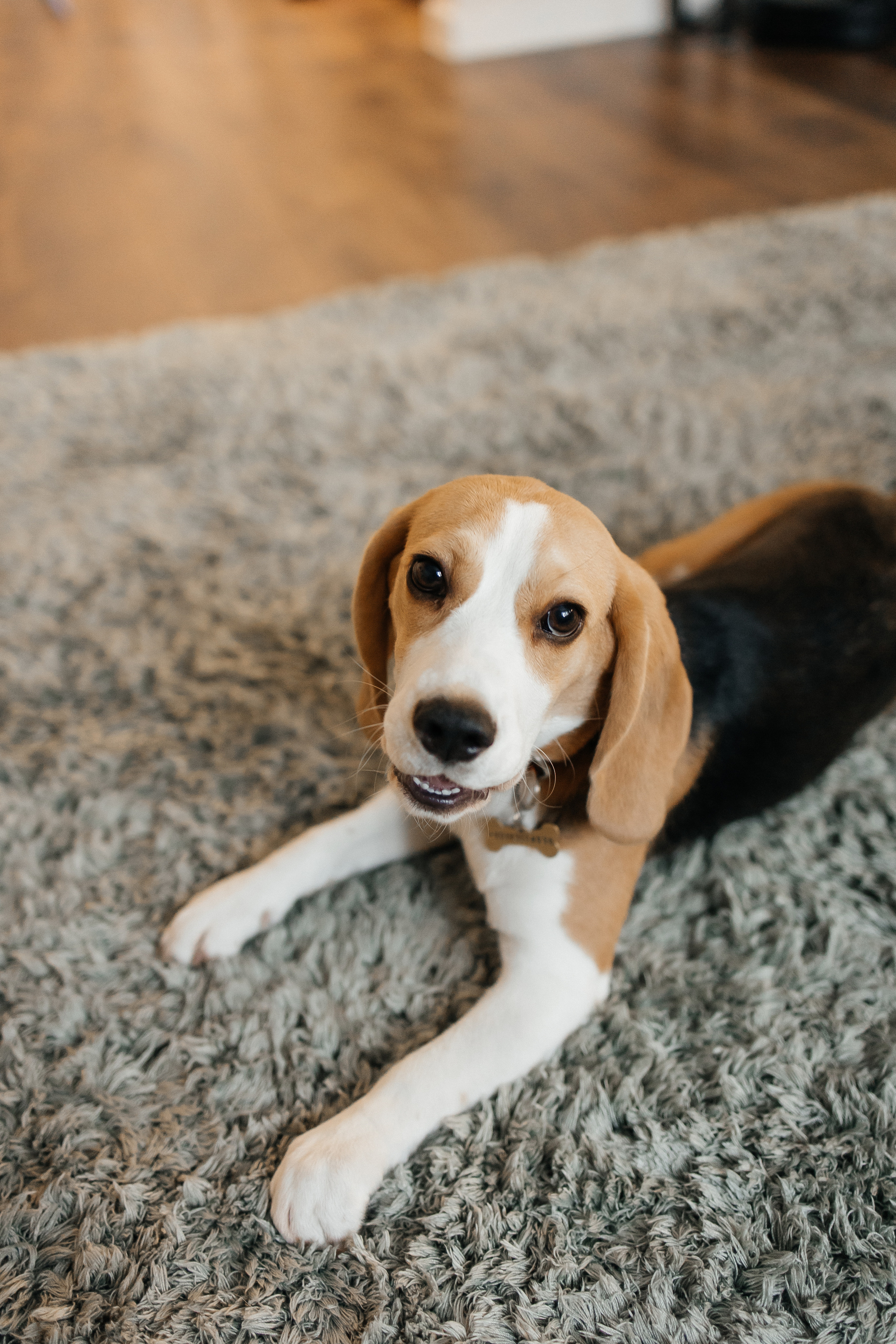 Оля с семьей. СЕМЕЙНЫЙ ФОТОГРАФ В САРАТОВЕ