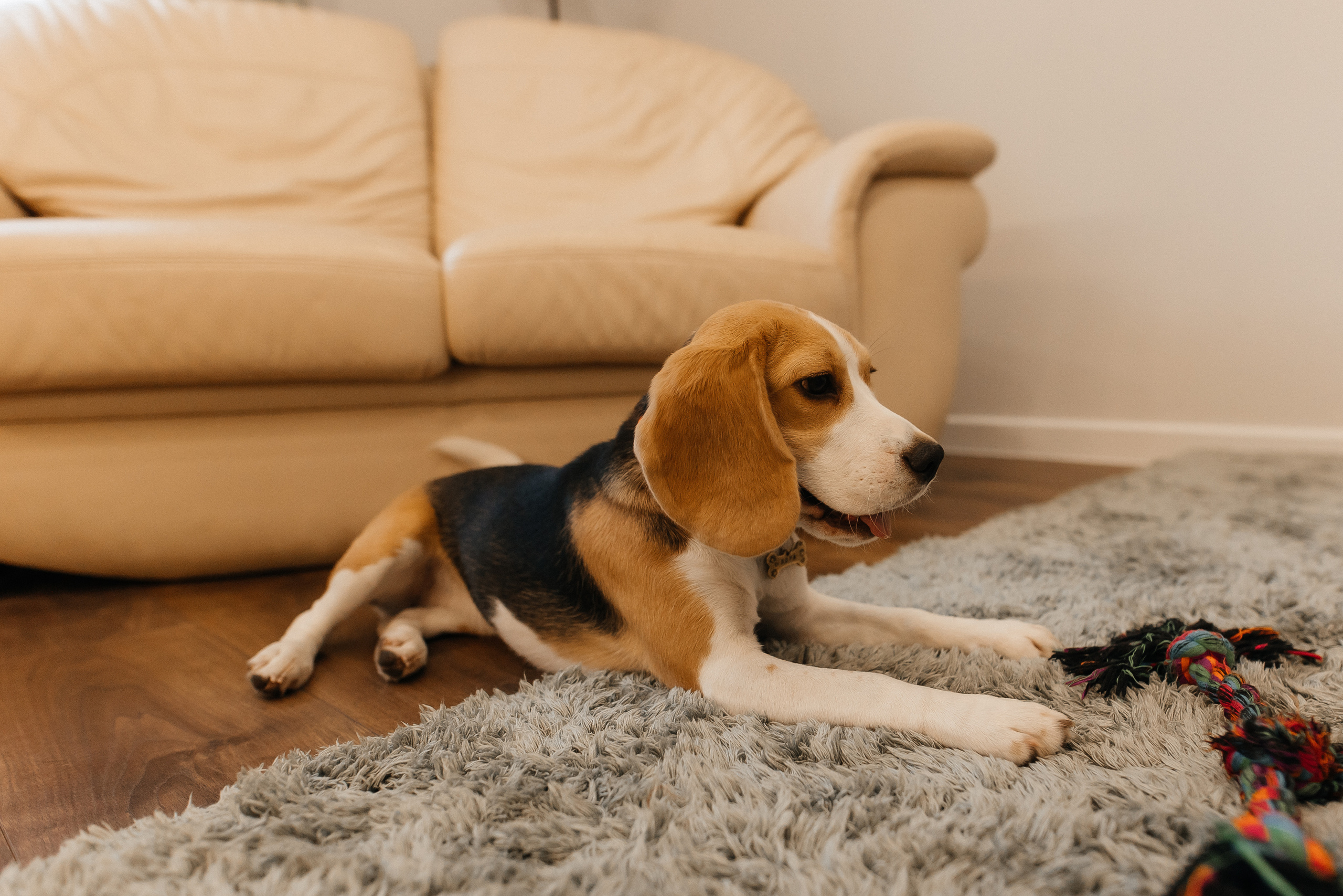 Оля с семьей. СЕМЕЙНЫЙ ФОТОГРАФ В САРАТОВЕ