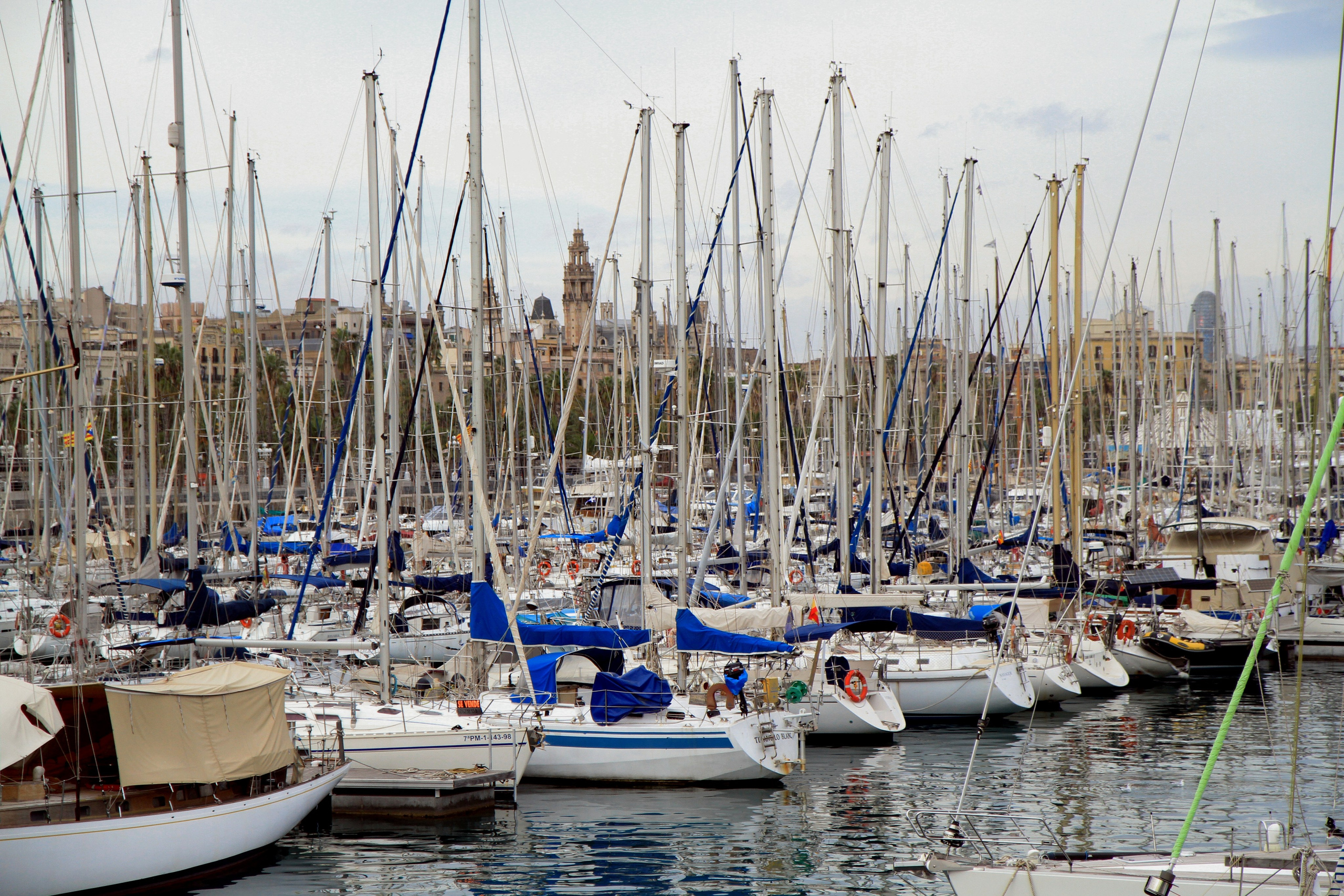 СТРИТ / ТРЕВЕЛ. Семейный и travel-фотограф из Израиля