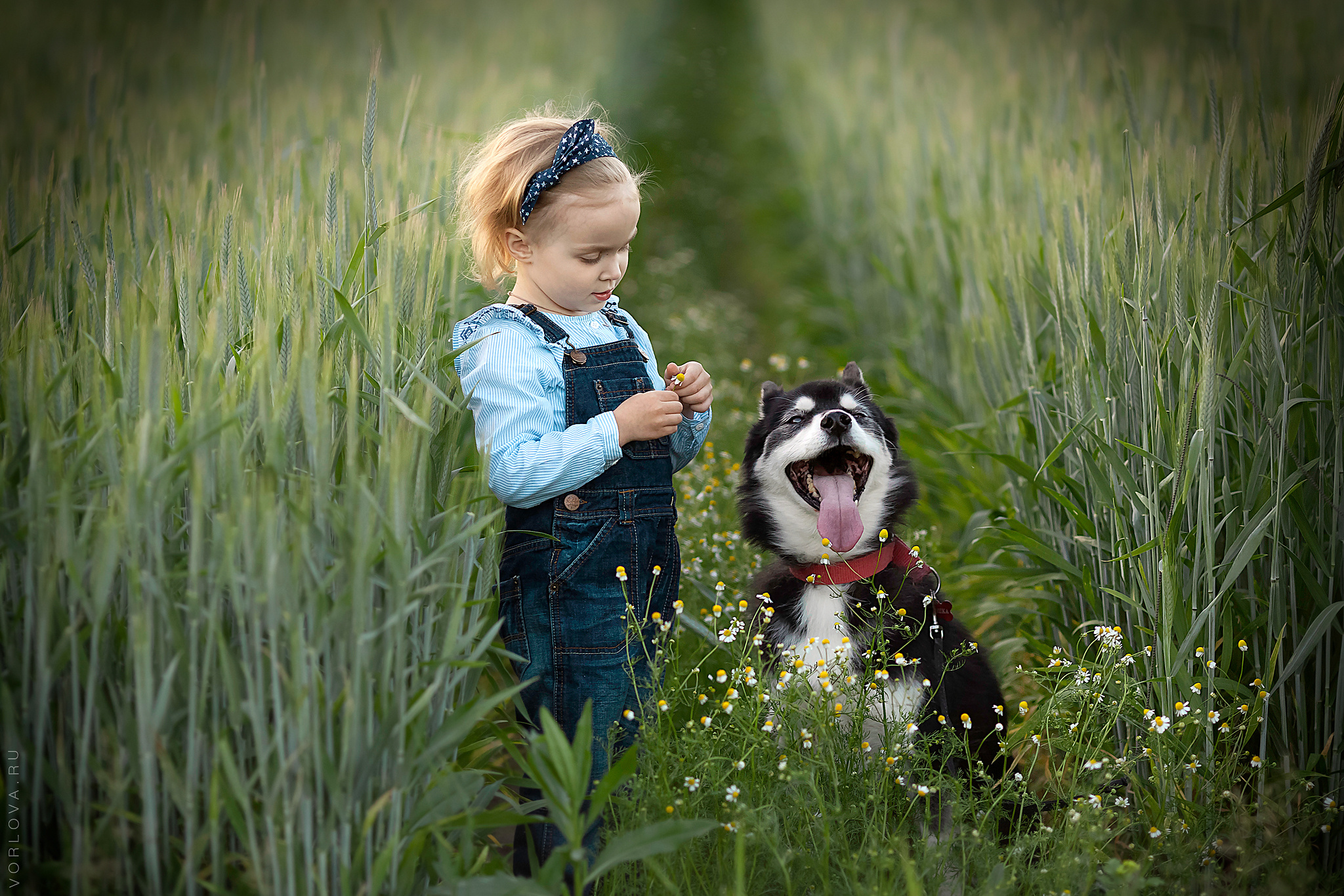 Портфолио детского фотографа. Детский и семейный фотограф в Москве Вера Орлова