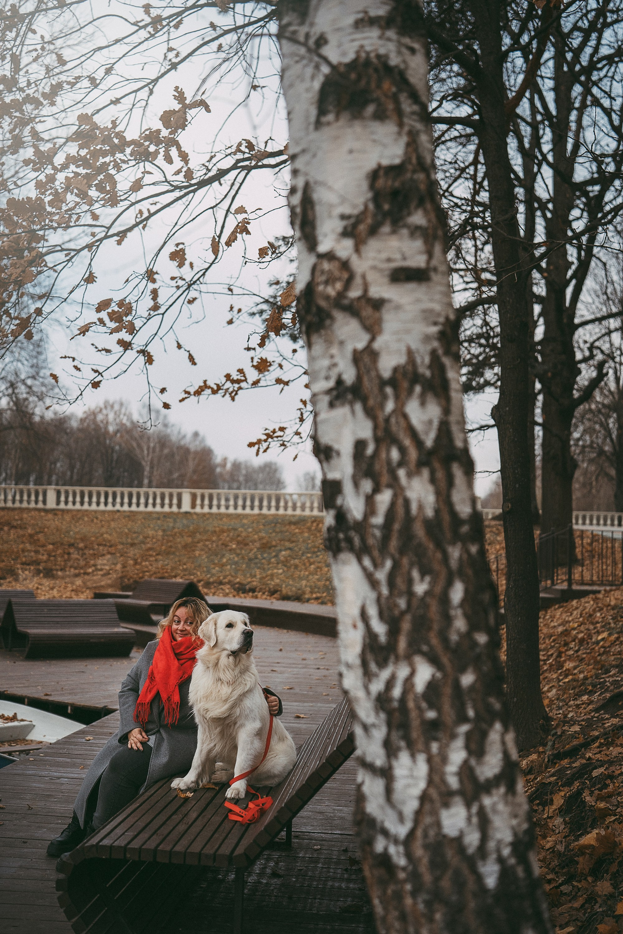 Лена и Мерлин. Фотограф анималист в Москве и Санкт-Петербурге Свиридова Анна