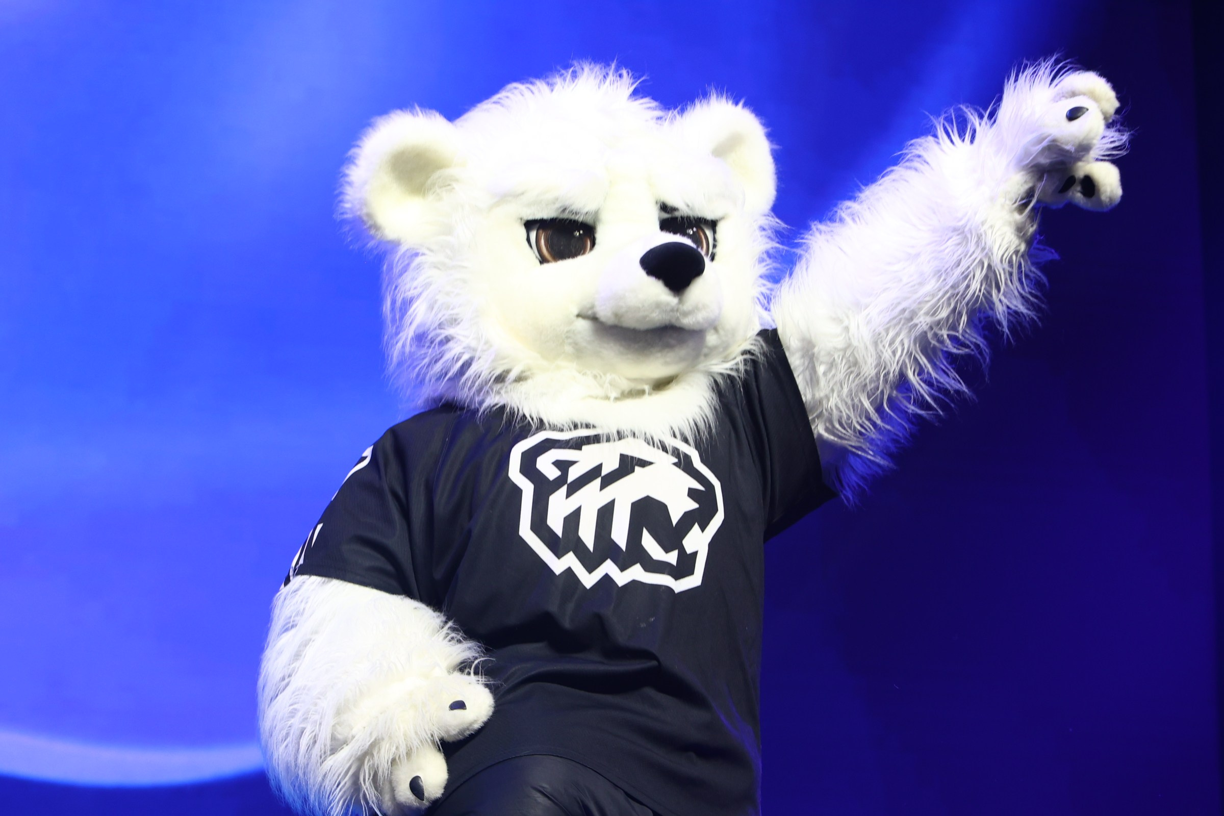 Алексей Потрехалов. Маскот хоккейного клуба «Трактор». Репортажный фотограф Наталья Лапцевич