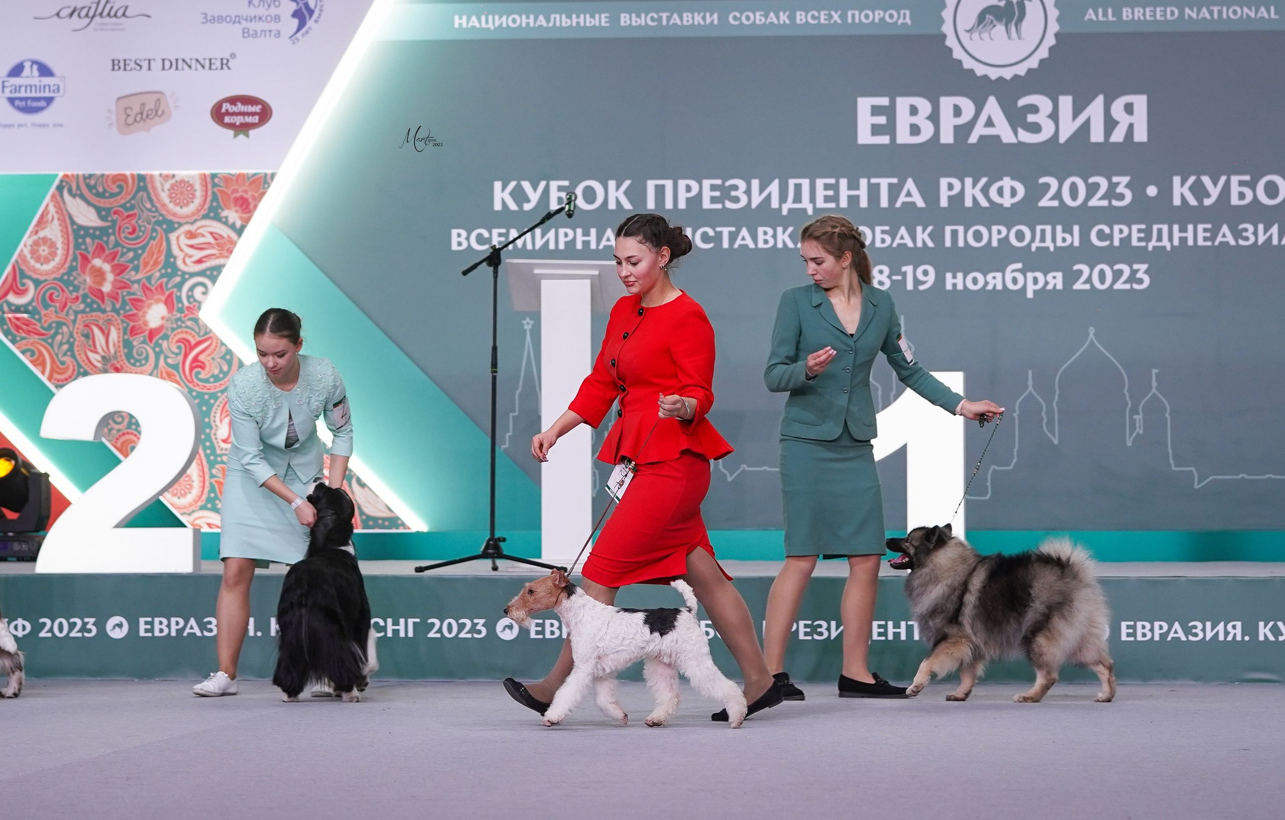 Выставки 2023. Фотограф-анималист в Санкт-Петербурге Яна Мартынова