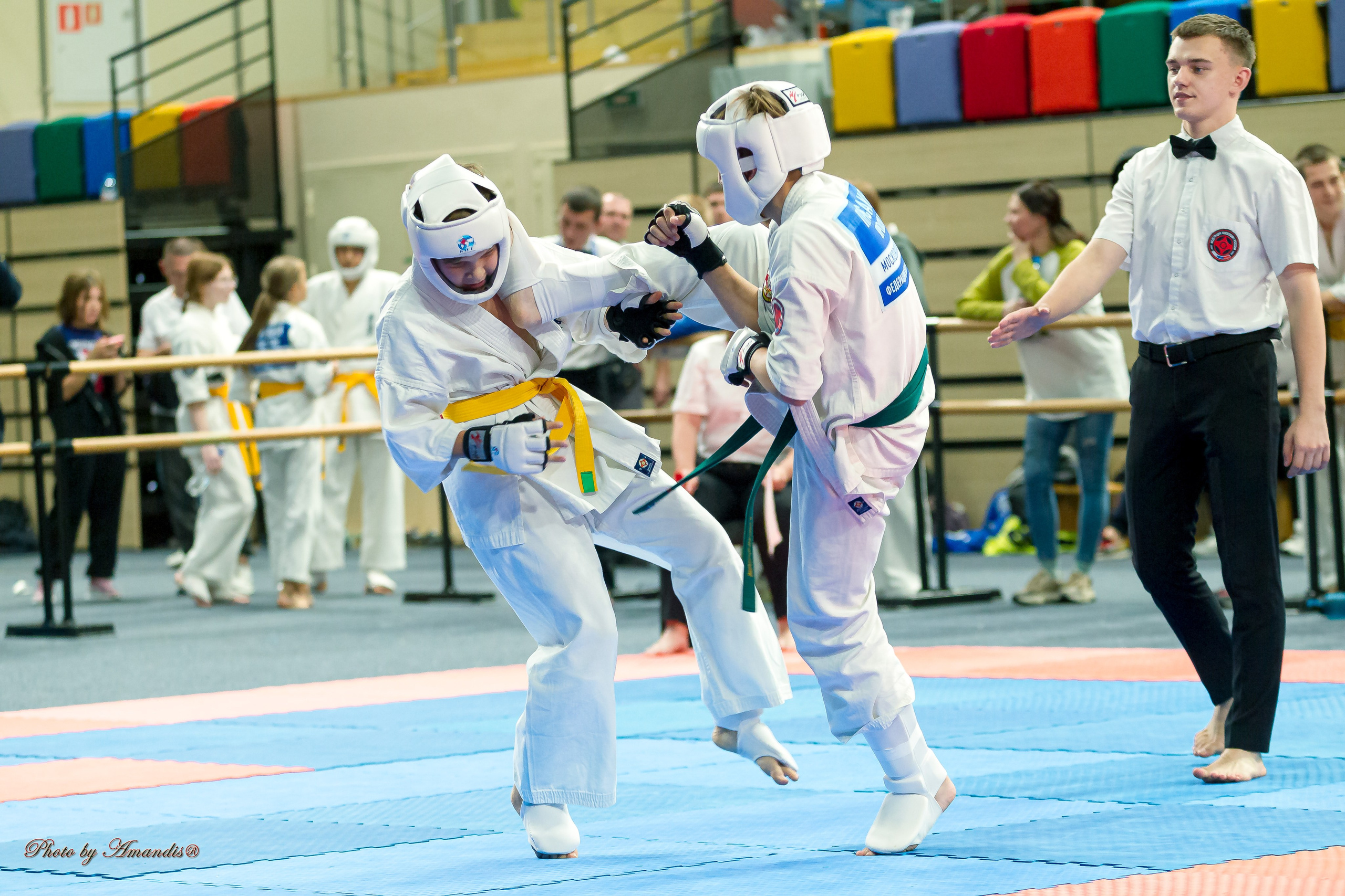 Первенство Московской области по Киокушин в СК «Жаворонки». Репортажная съемка в Москве и области. Анималистика