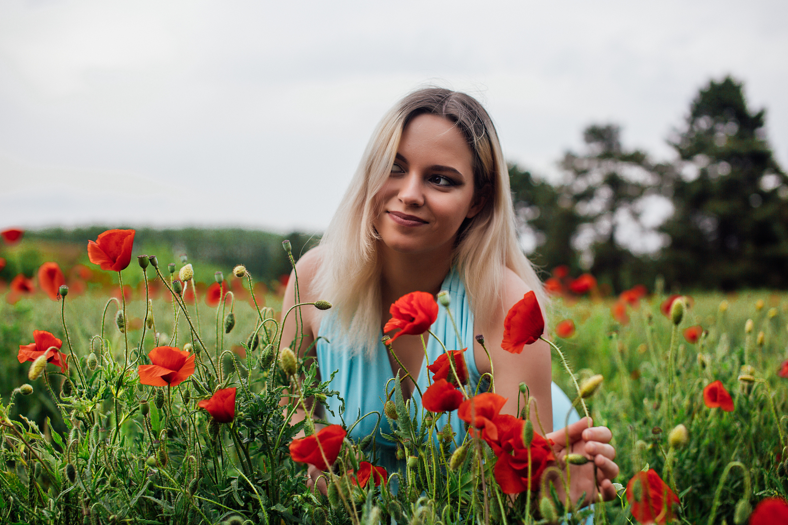Прогулка по маковым полям. Свадебный и семейный фотограф/видеограф в Краснодаре Наталья Осинская