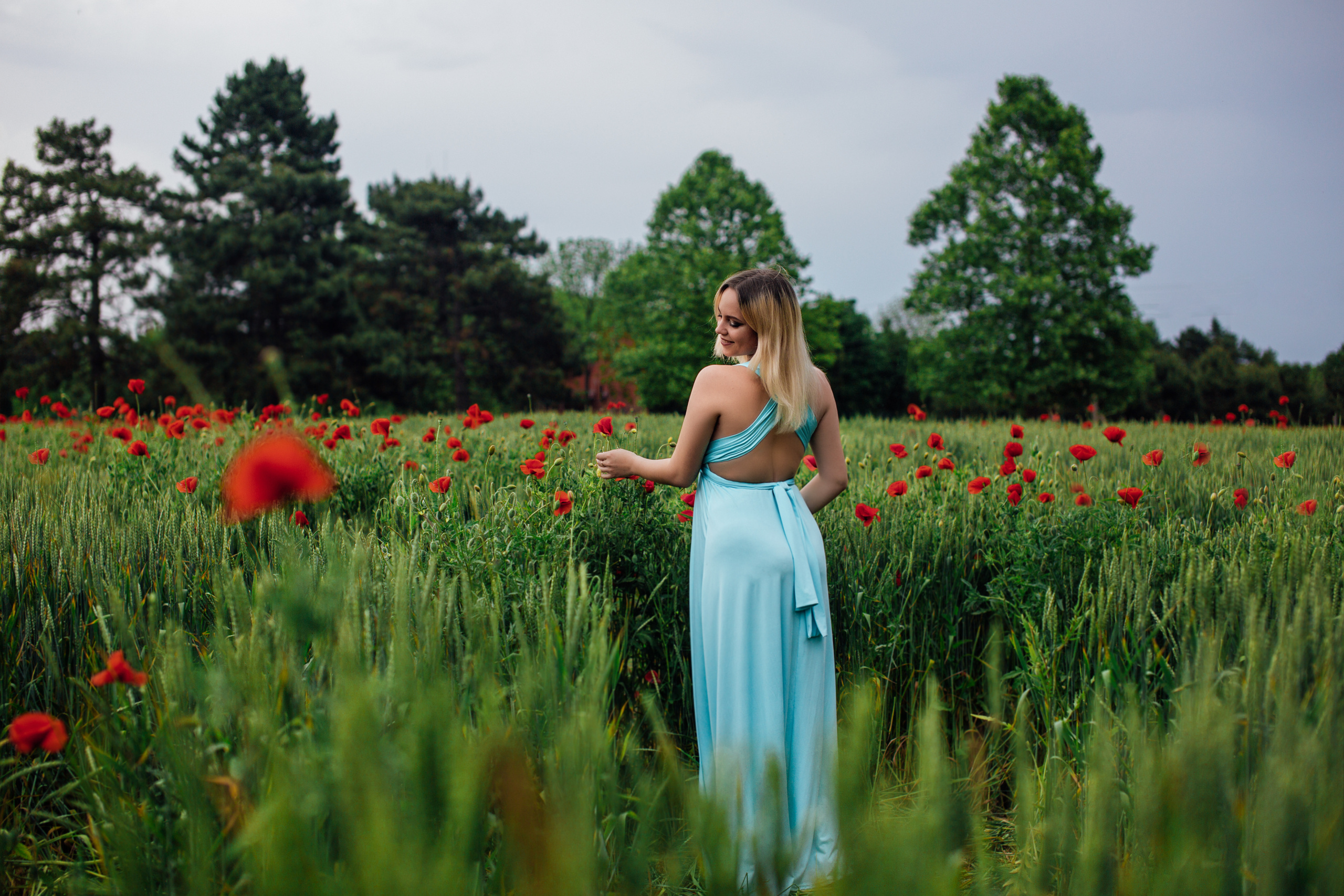 Прогулка по маковым полям. Свадебный и семейный фотограф/видеограф в Краснодаре Наталья Осинская