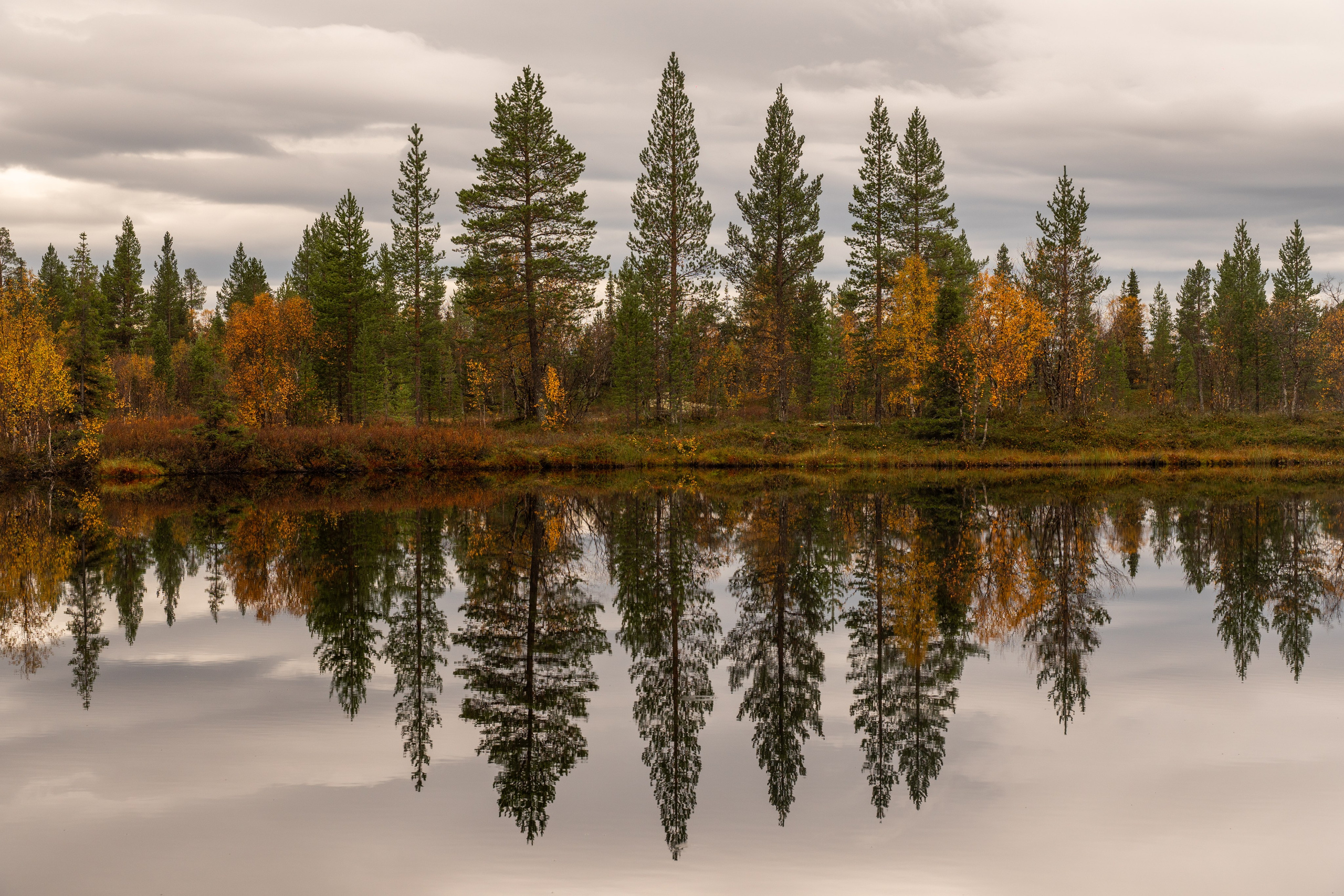 Портфолио. Daria wanderer photography