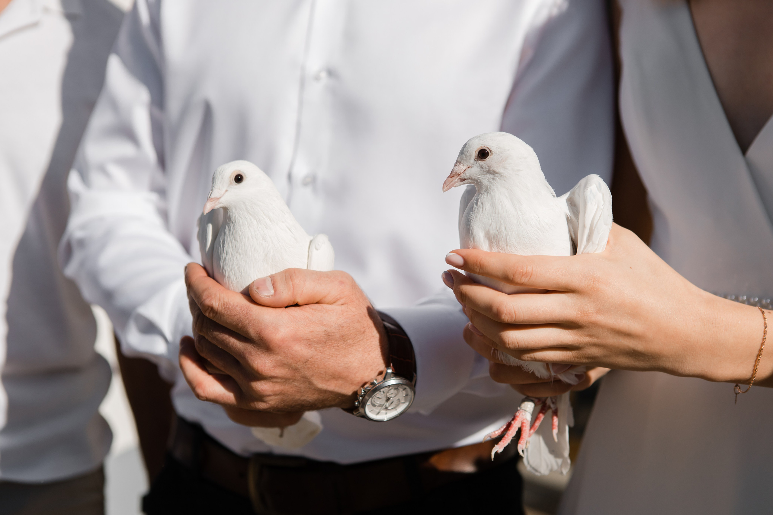 Отдел ЗАГС Администрации Первомайского района. Видеосъемка и фотосъемка свадеб. Фотограф и оператор на свадьбу. Видеосъемка подкастов, собственная видео-фотостудии. Предметная фотосъемка