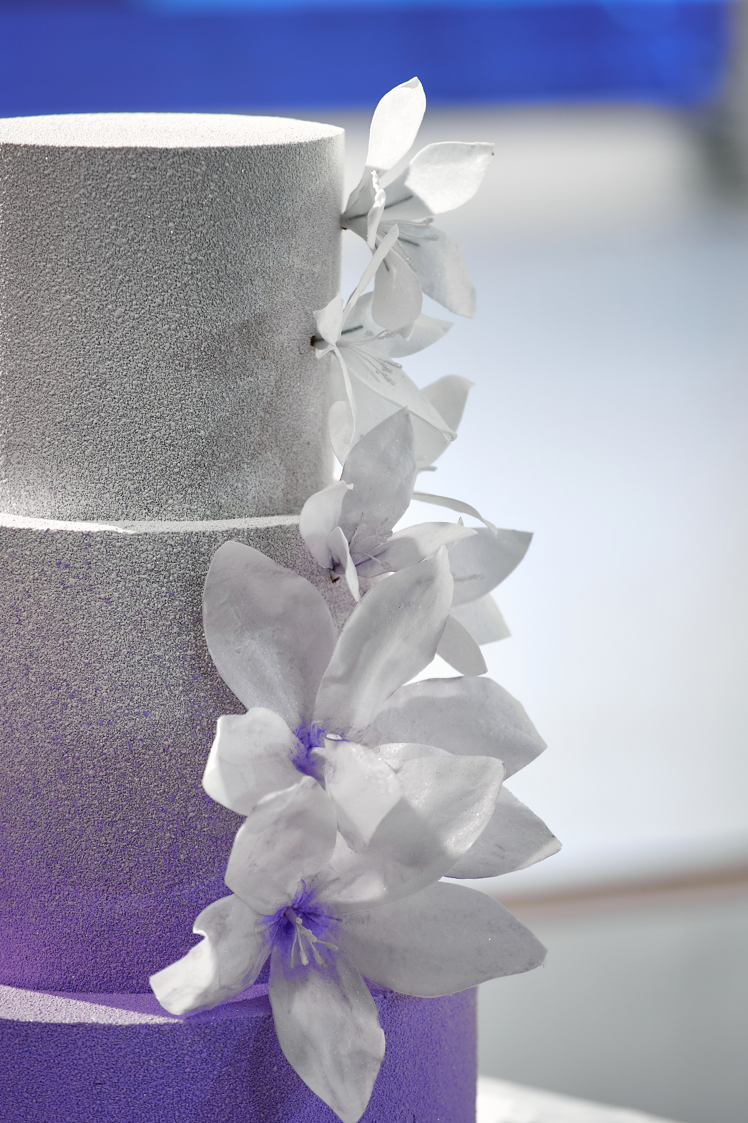 Битва кондитеров Барнаул. Свадебный репортажный и фуд фотограф в Барнауле Гайфулин Виталий