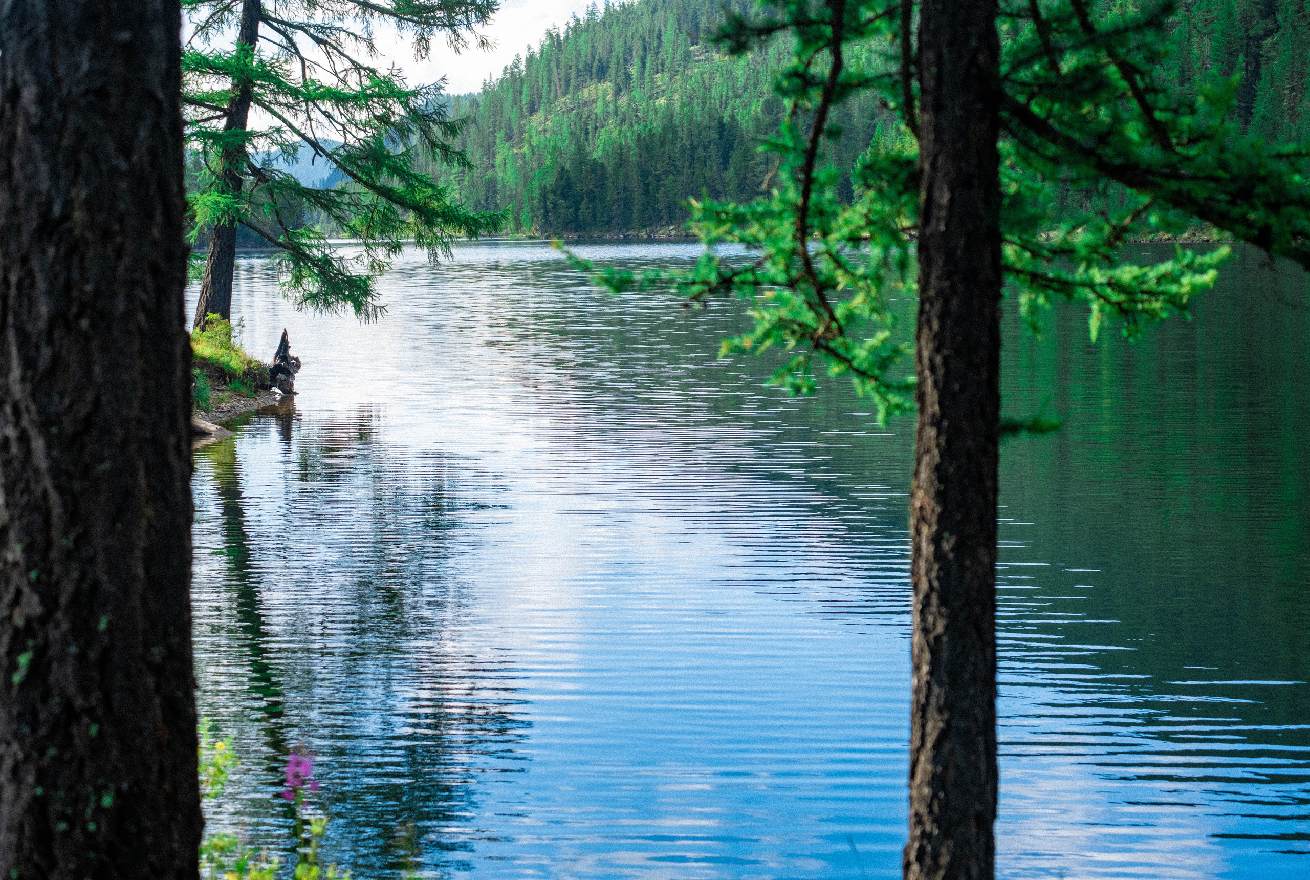 RUSSIA. Фотограф |Герасимова София