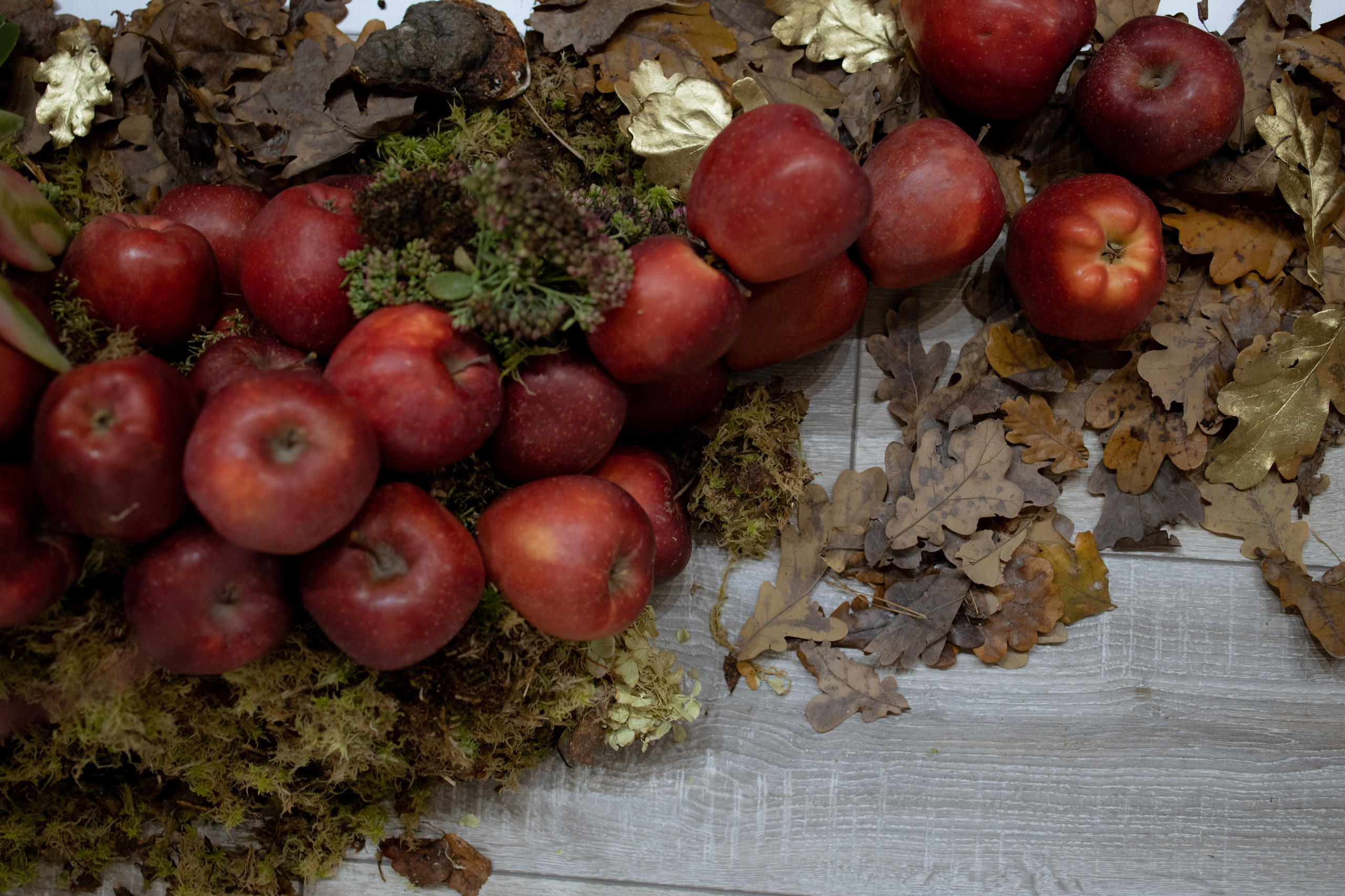 Оформление IX Международного конкурса пианистов имени Д. Д. Шостаковича. Оформление свадеб, декор свадеб Вера Маркова, Москва