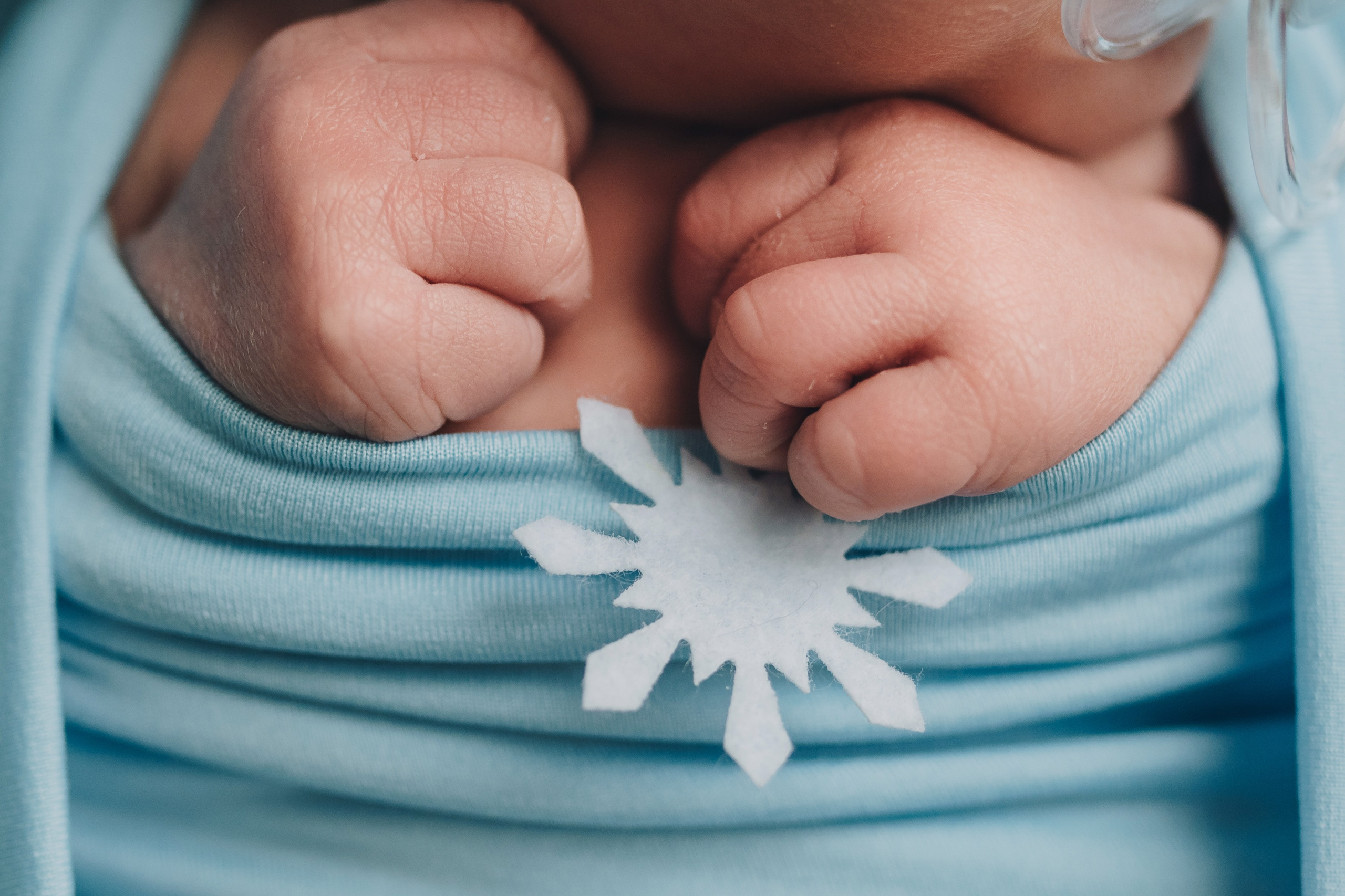 Alex. Natalia Finch Photography — Family, Kids & Pet Photographer in Chicago, IL