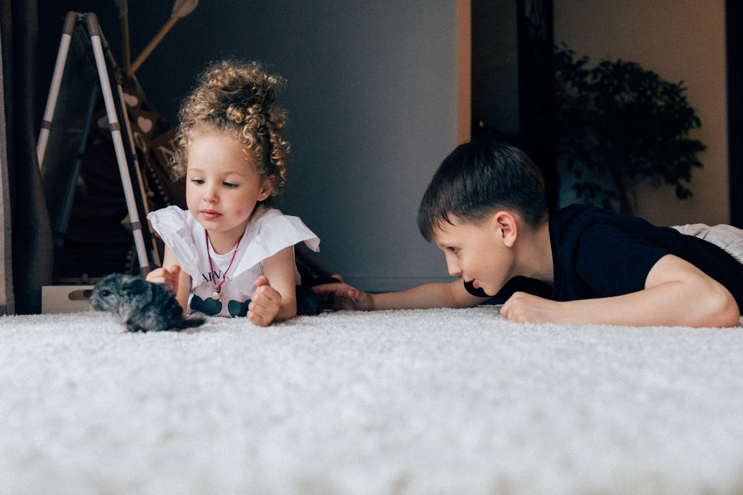 Lifstyle Фролкины. Семейный, женский и детский фотограф Татьяна Колобаева