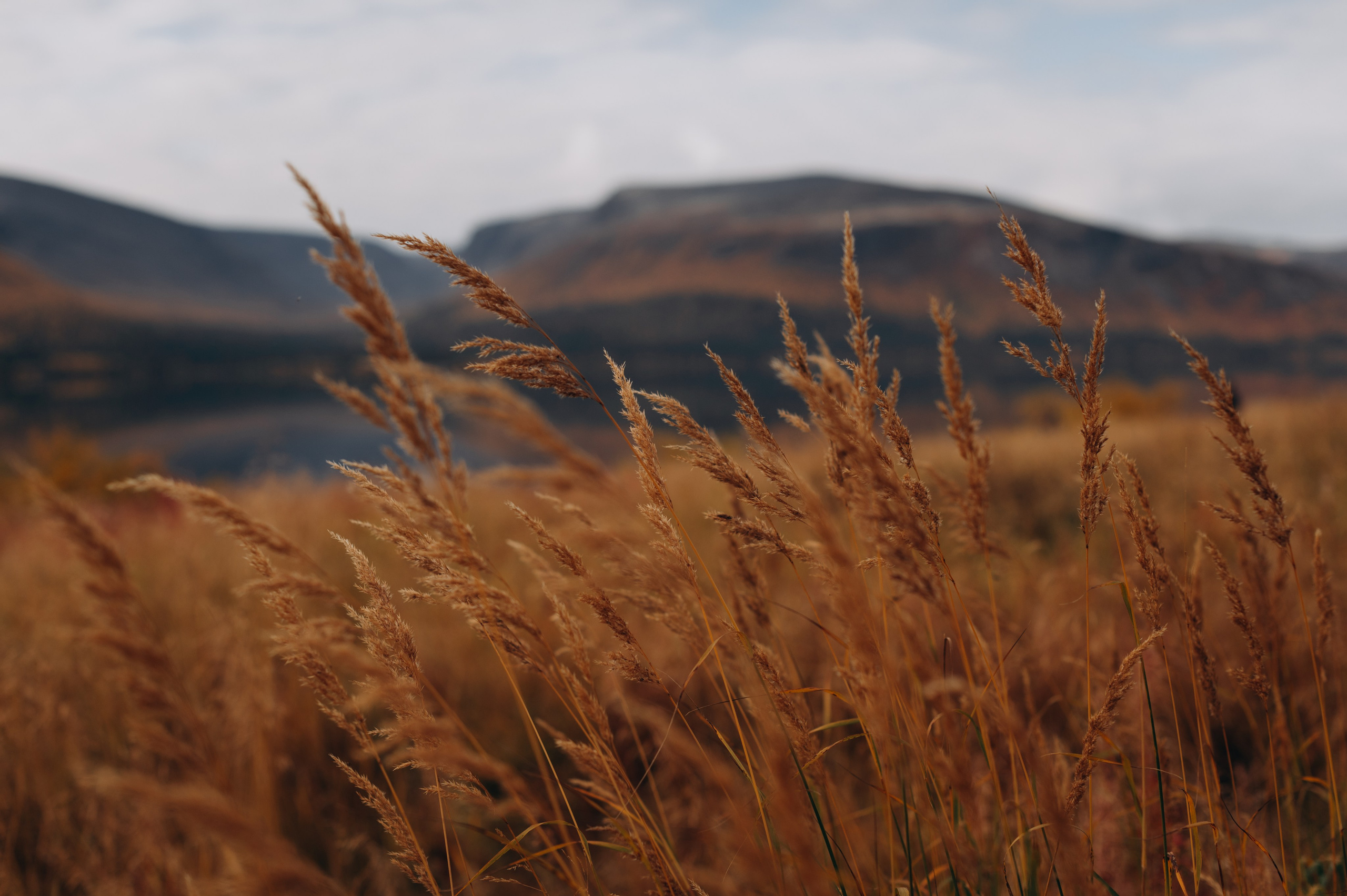 АВТОРСКИЕ ОТКРЫТКИ, 150руб. Фотограф Наталья Могилевская Мурманск Териберка Сейдозеро Рыбачий