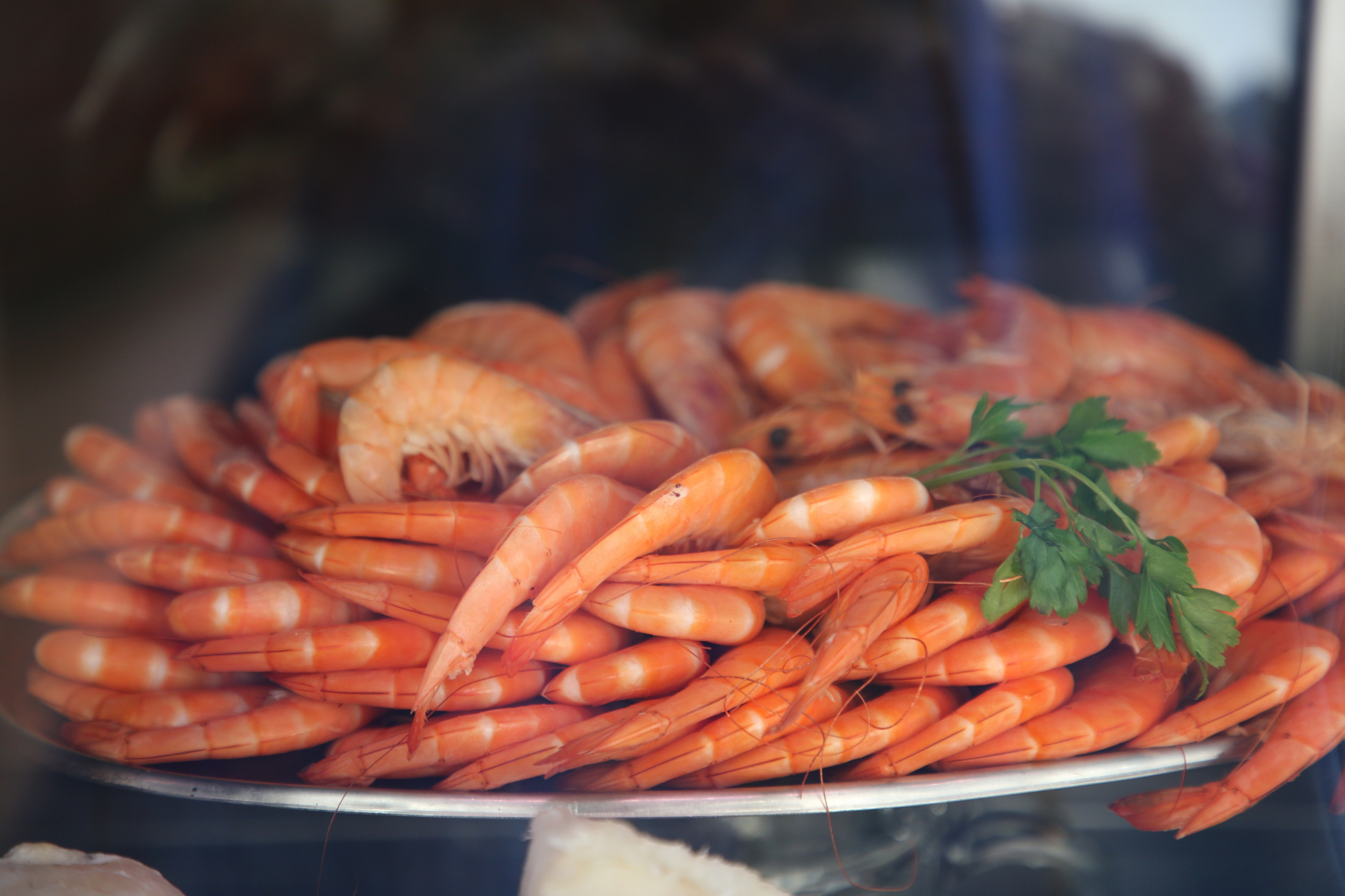 Lisbon, Portugal. Andrey Filippov Photographer