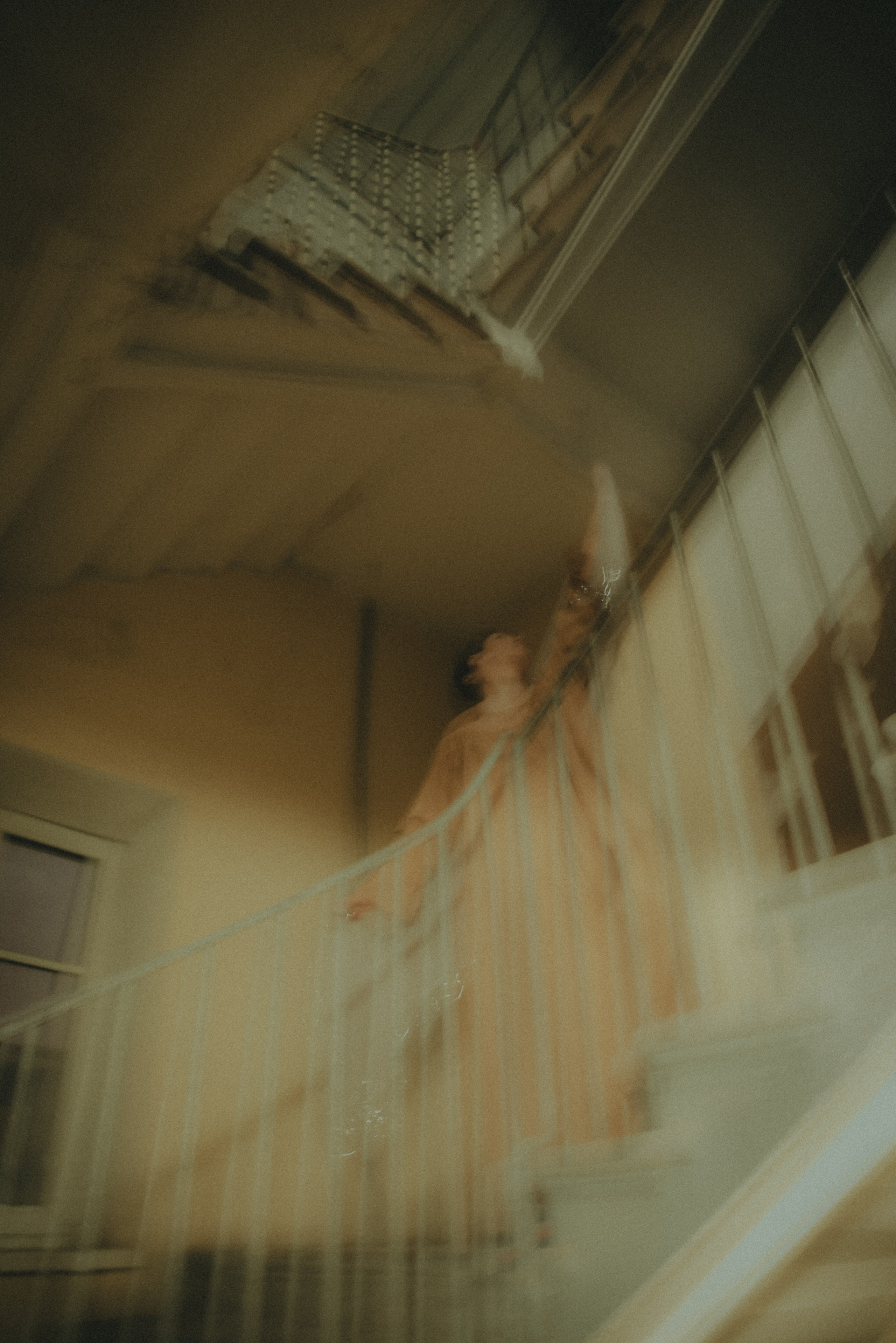 Стрекоза. Фотограф Крещение Венчание Москва