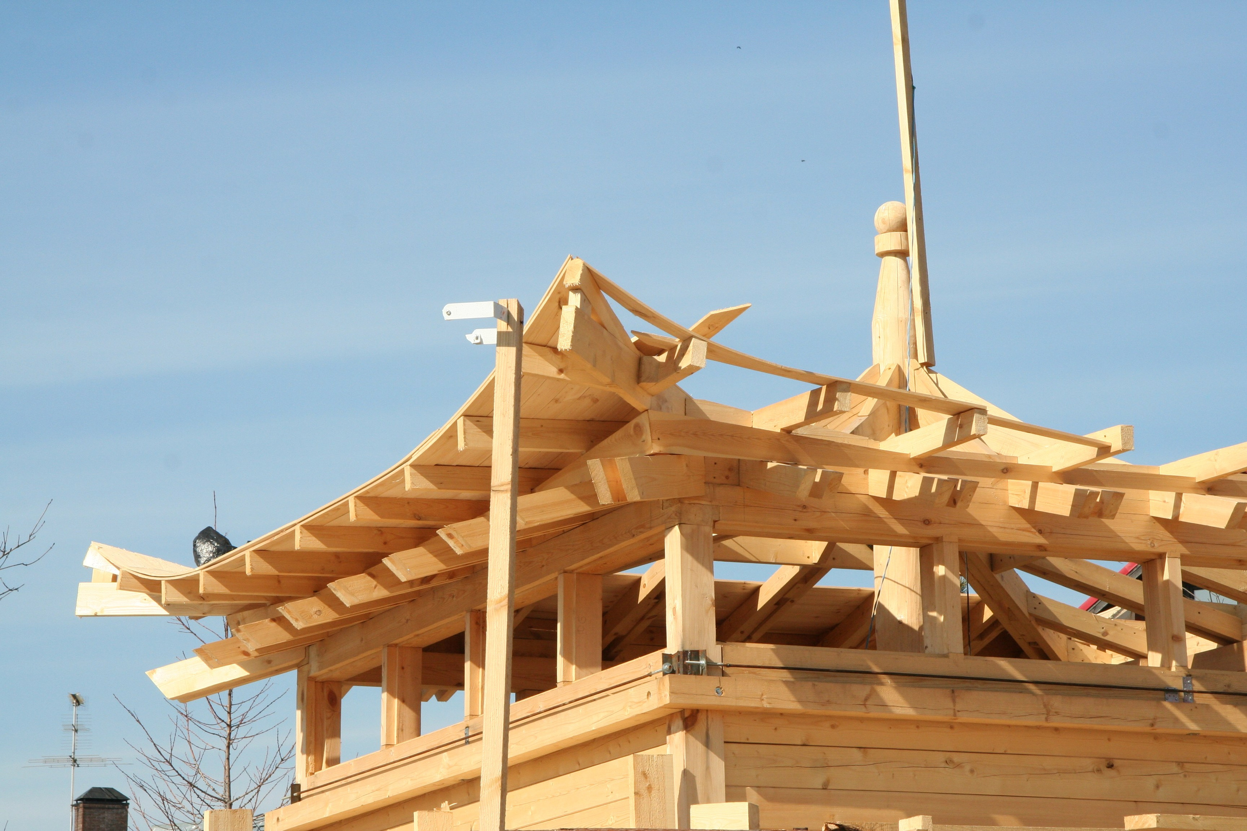 Антон Работнов