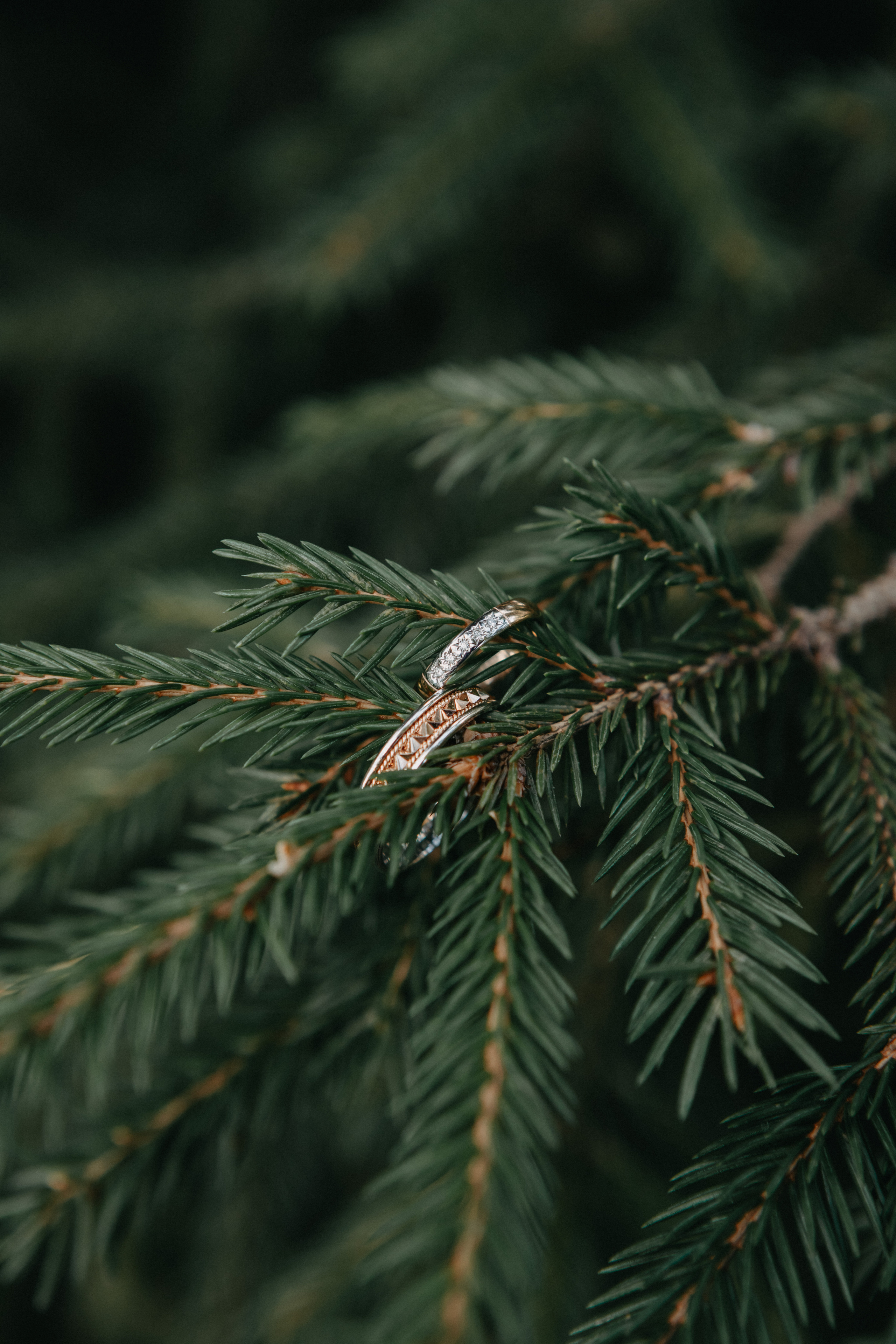 Анонс со свадьбы Анастасии и Кирилла. Свадебный фотограф Москва и другие города
