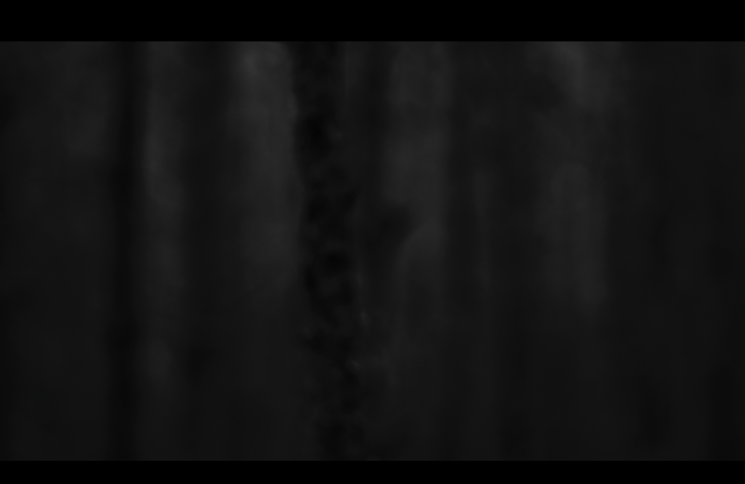 Видеоинсталляция Место Пробела. Художественная группа «Нежные Бабы»