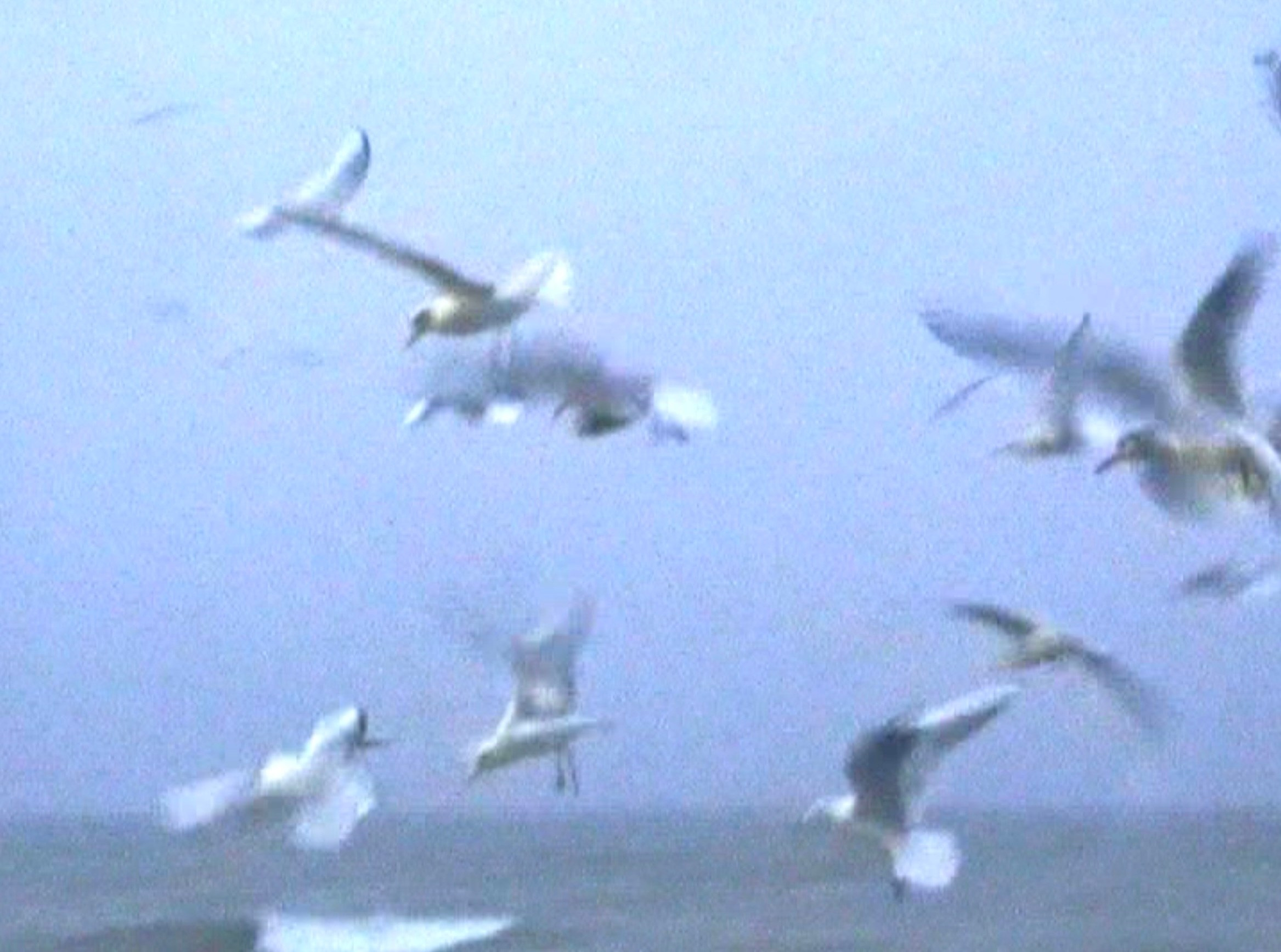 ХЛЕБ ДА СОЛЬ. Художественная группа «Нежные Бабы»