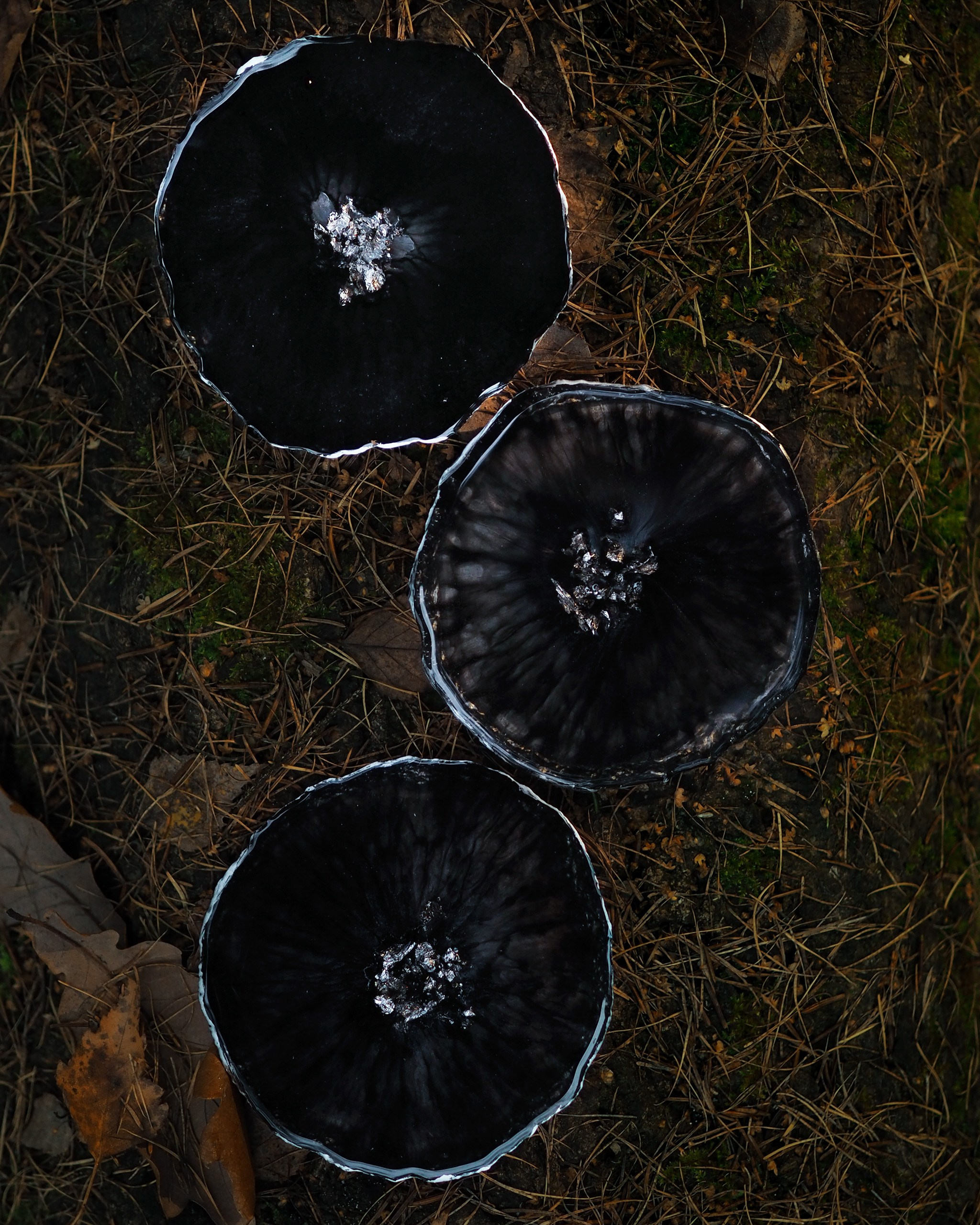 Изделия из эпоксидной смолы