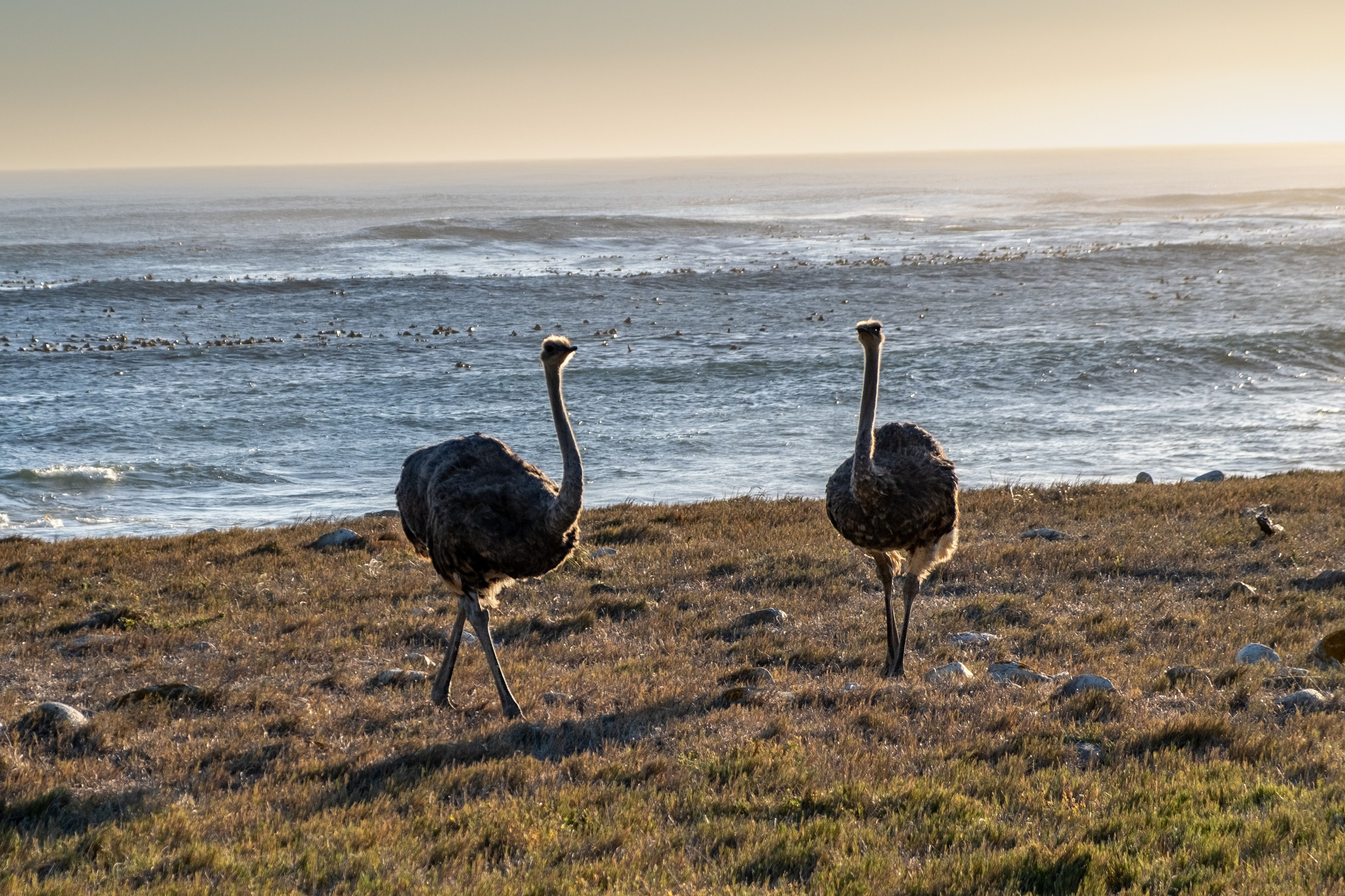 Мыс надежды. Фотографии из путешествий