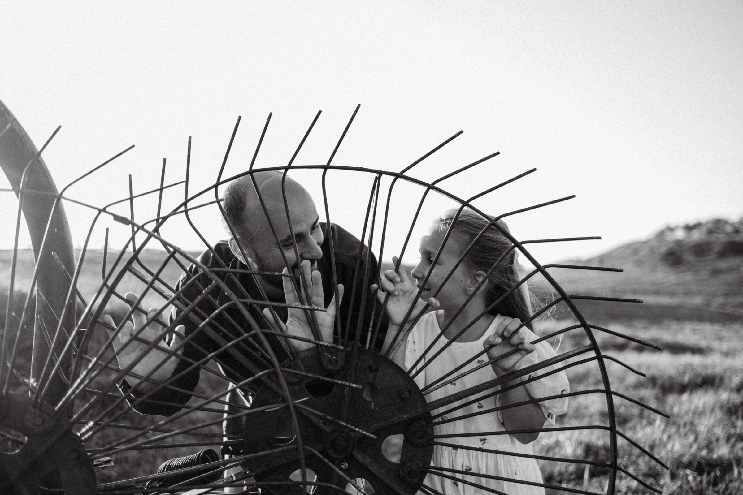 Дружелюбная овечка. Фотограф Daria Wilner