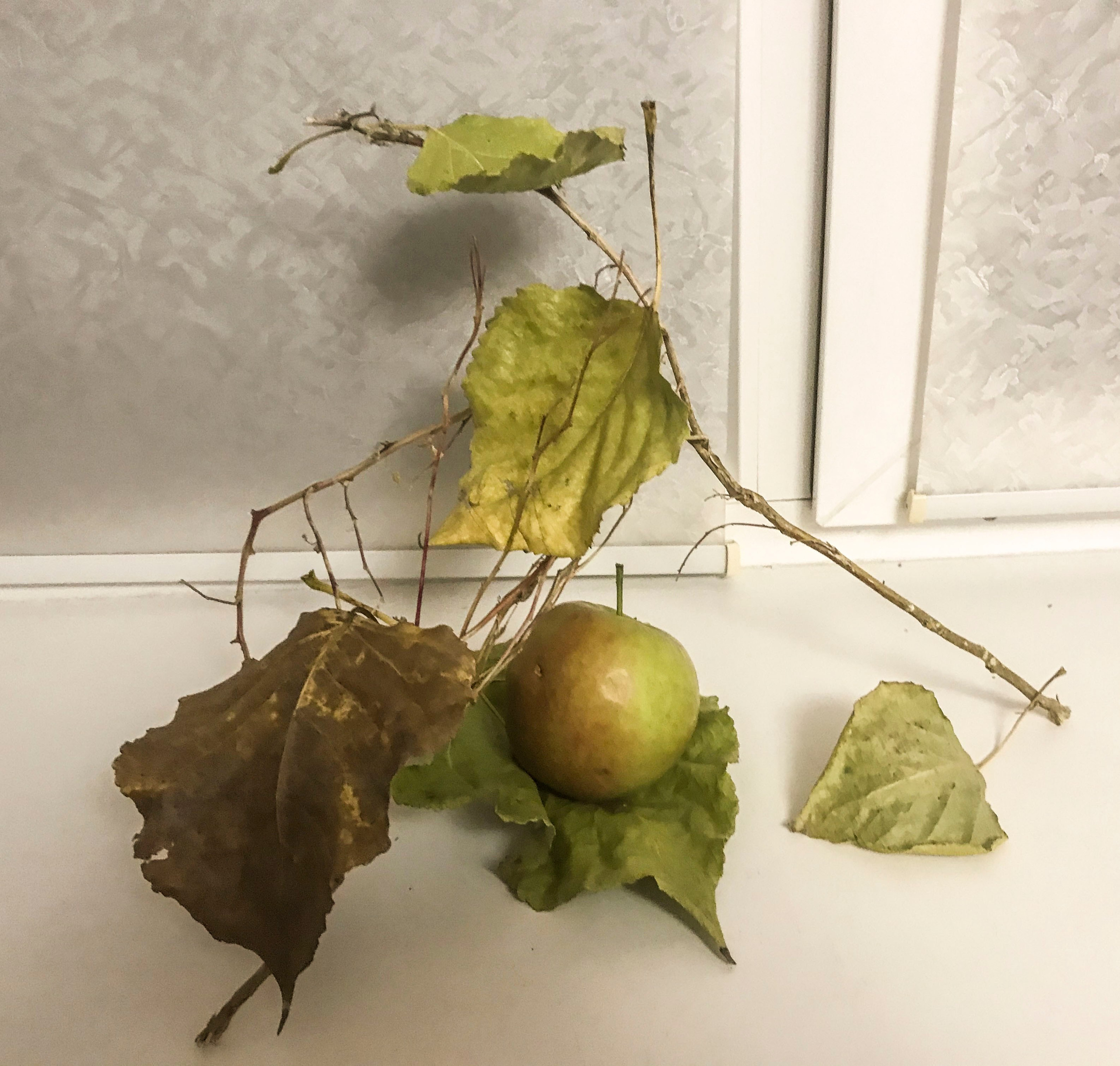 Икэбана Барне. Фотограф Анна Барне