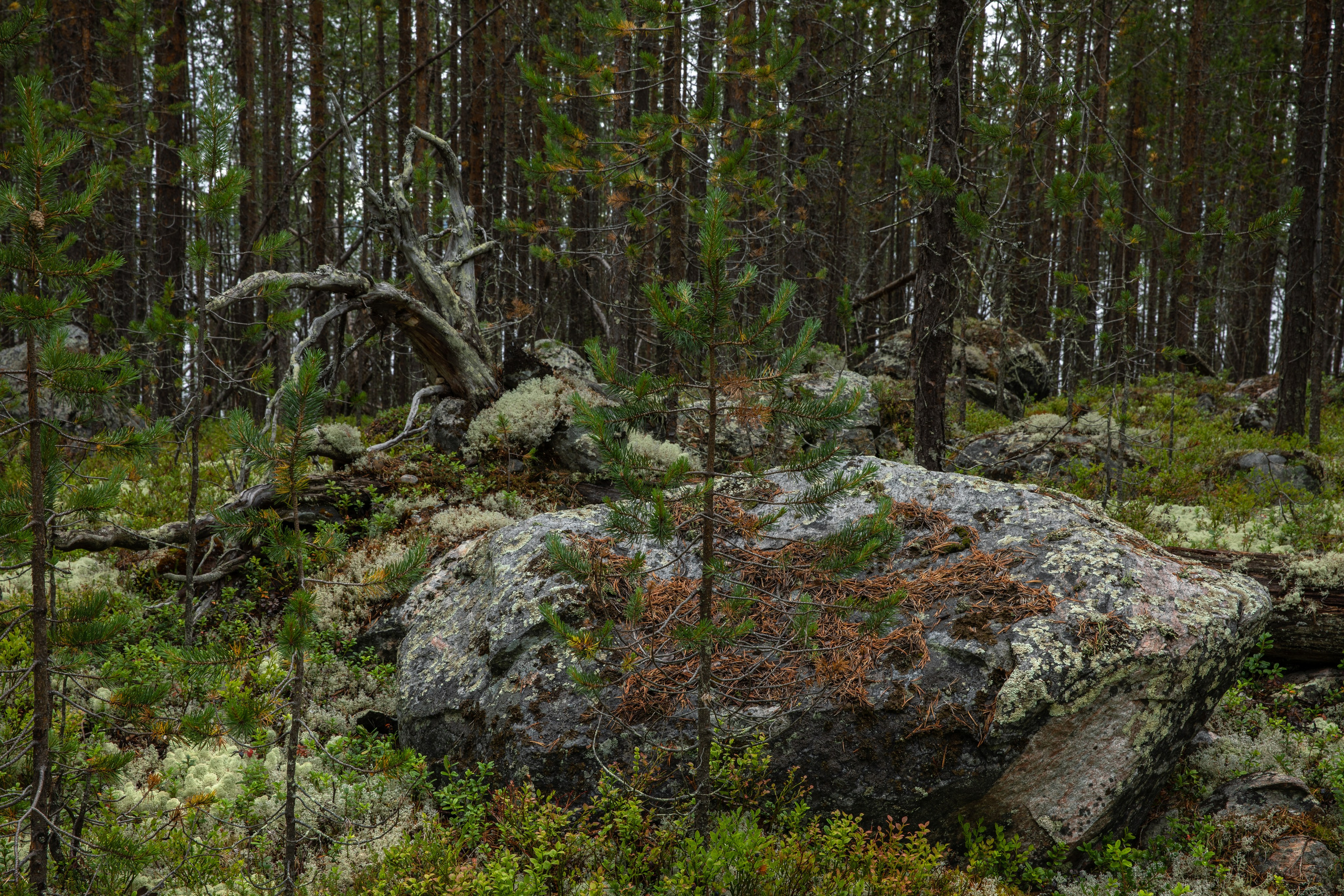 Оз. Колвицкое. Фотографии