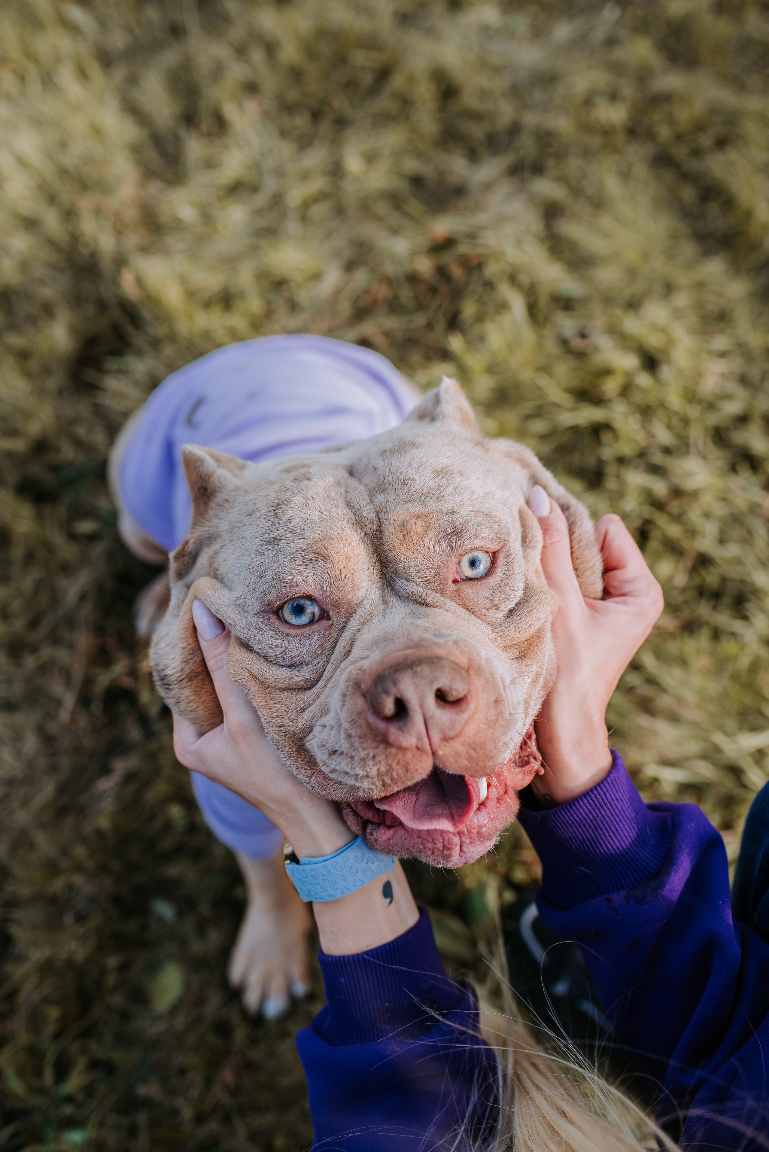 Фотопрогулка с питомцами. Фотограф Диана Оленина Красноярск / Братск