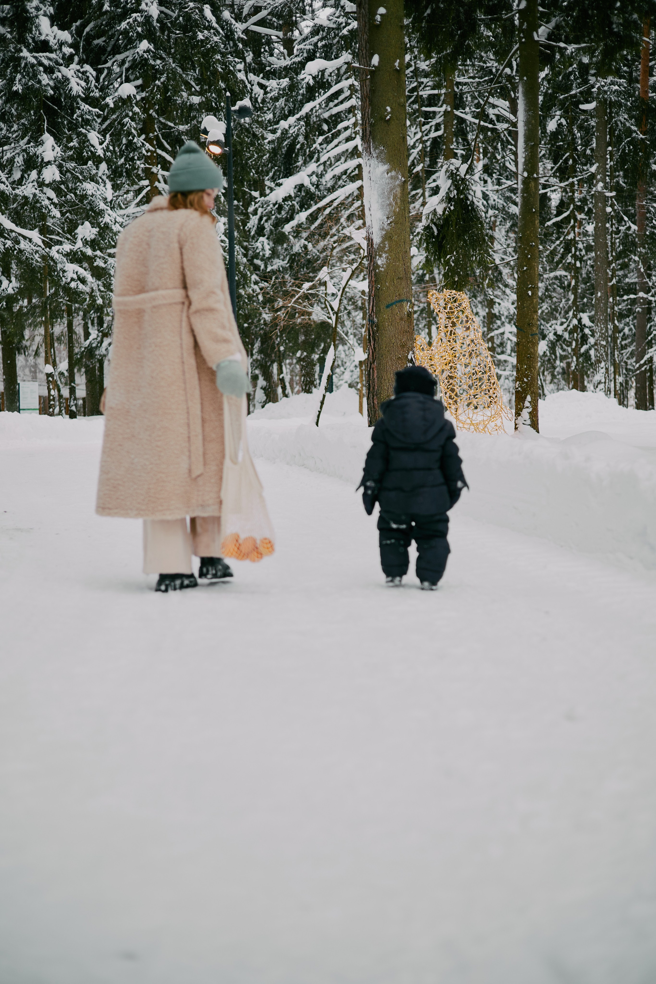 Зимний сад. Алина|Life Фотограф|Москва