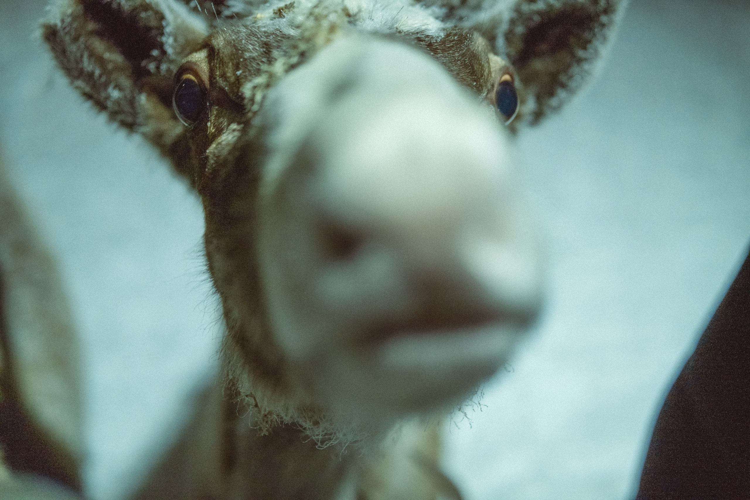 Фотографии Териберки | Филипп Линзин. Репортажный и портретный фотограф в Санкт-Петербурге Филипп Линзин