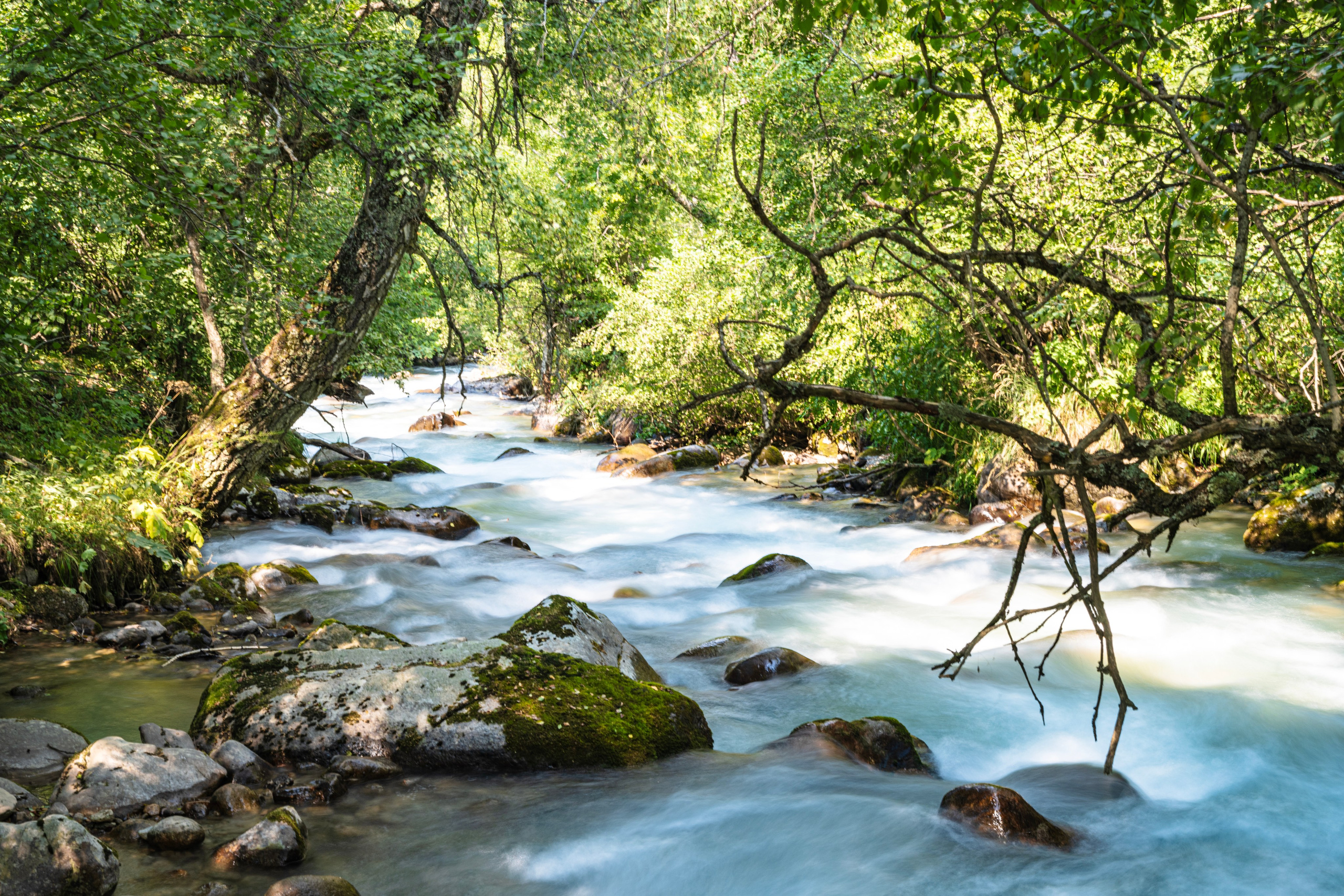 Экспедиция 2024